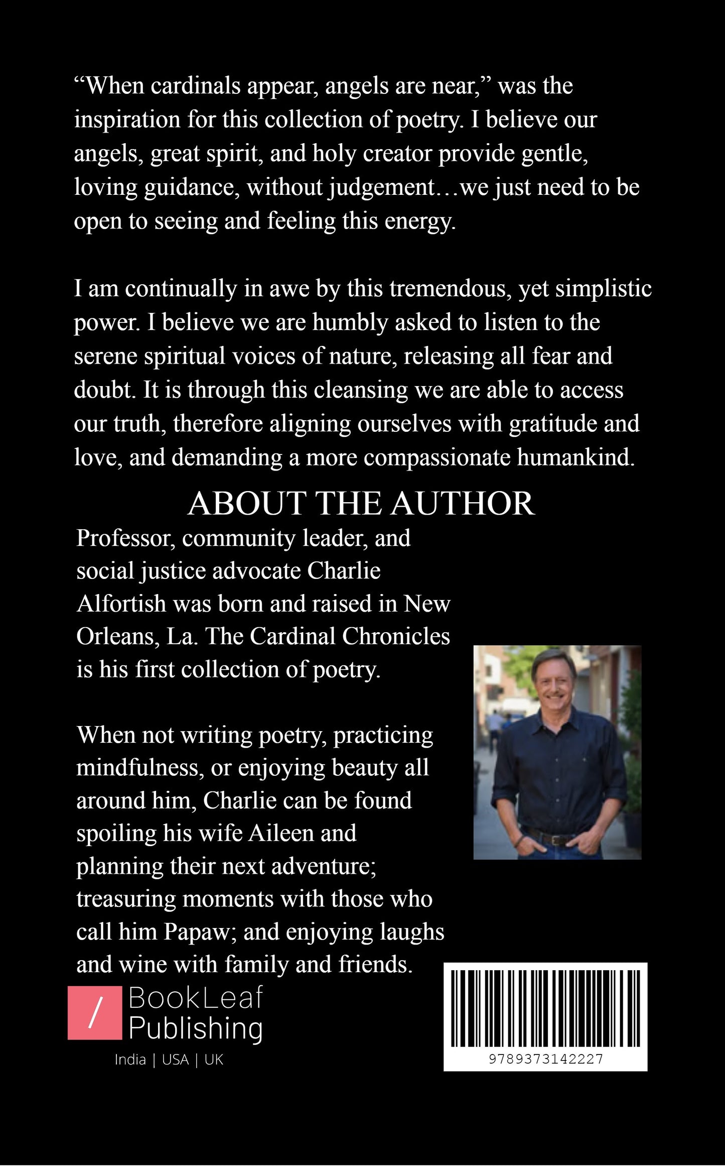 The Cardinal Chronicles