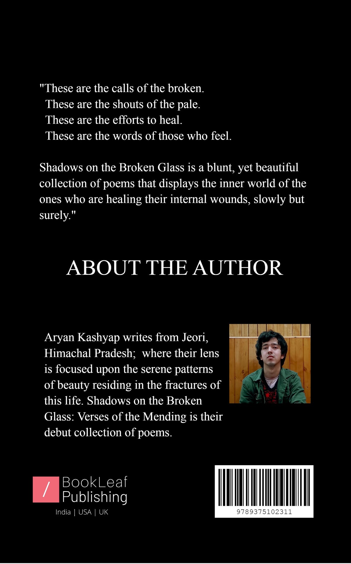 Shadows on the Broken Glass