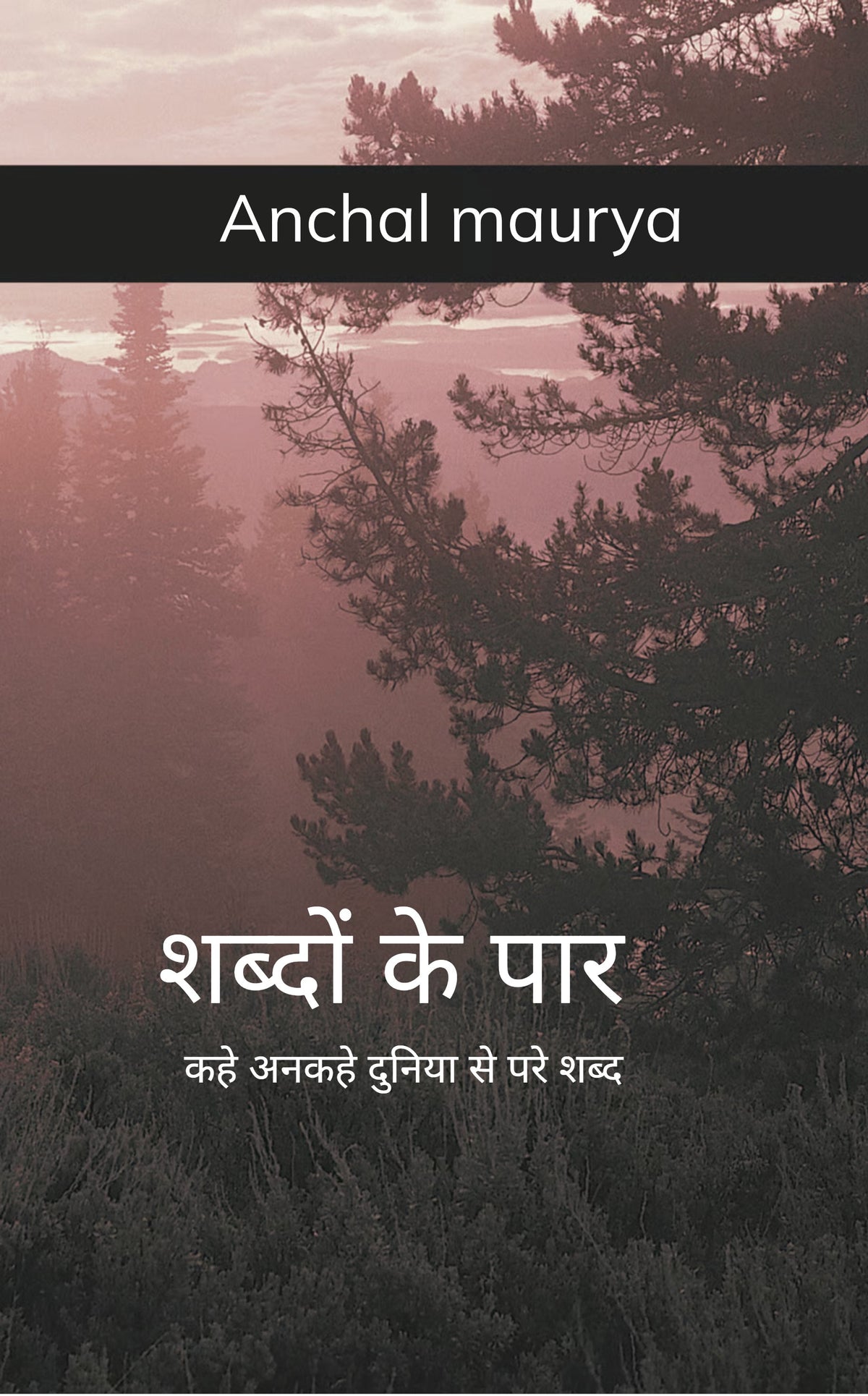 शब्दों के पार