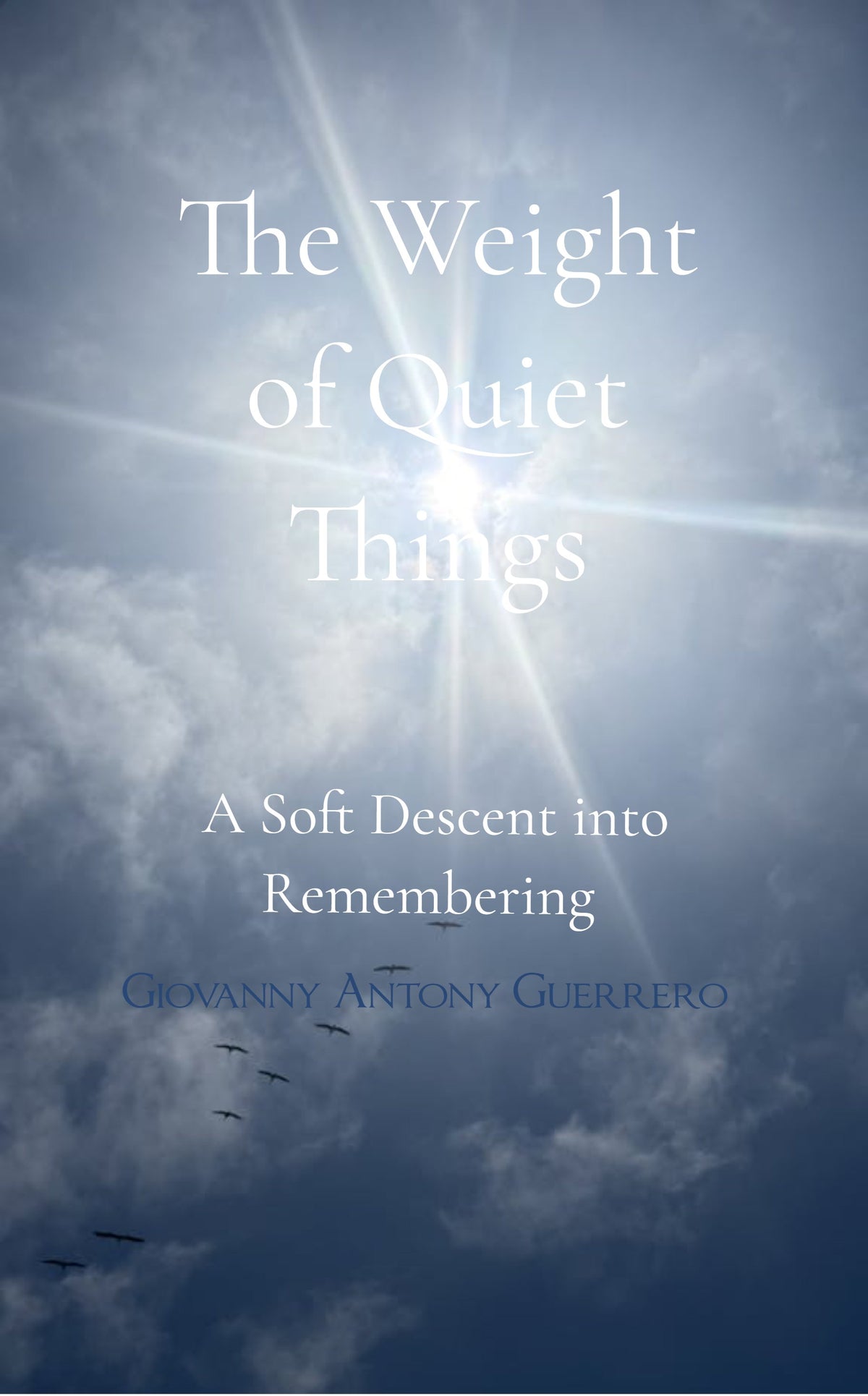 The Weight of Quiet Things