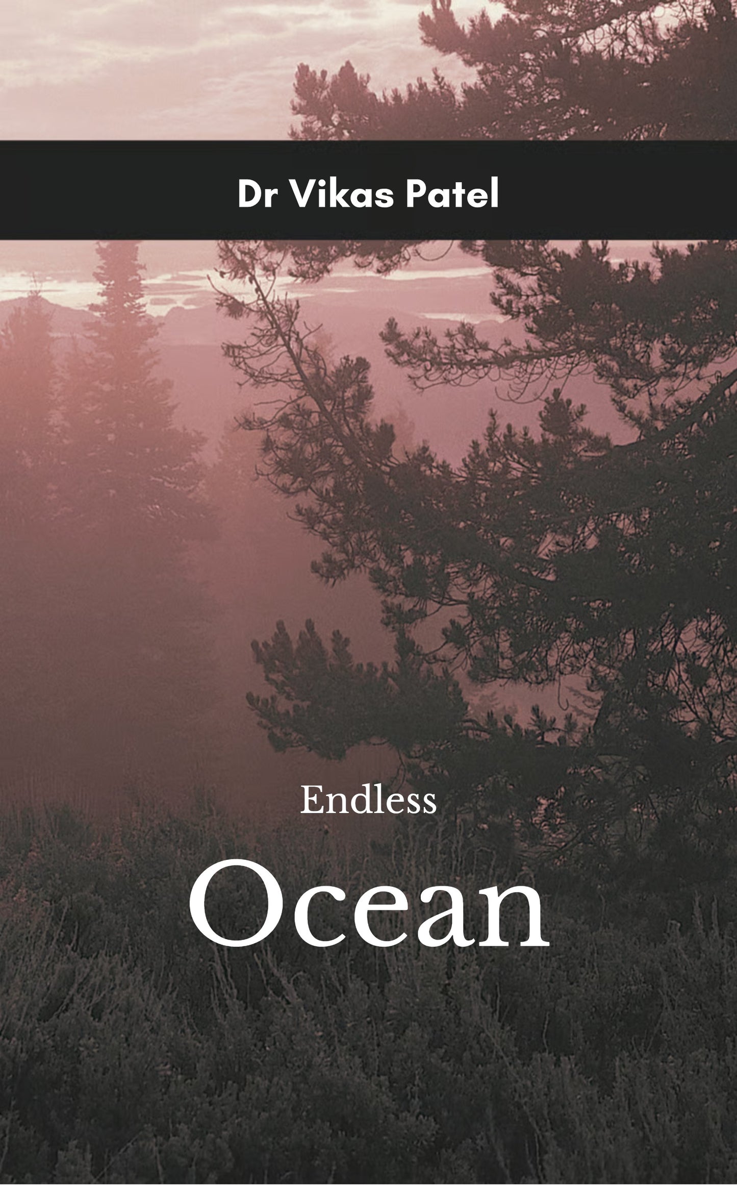 Endless Ocean