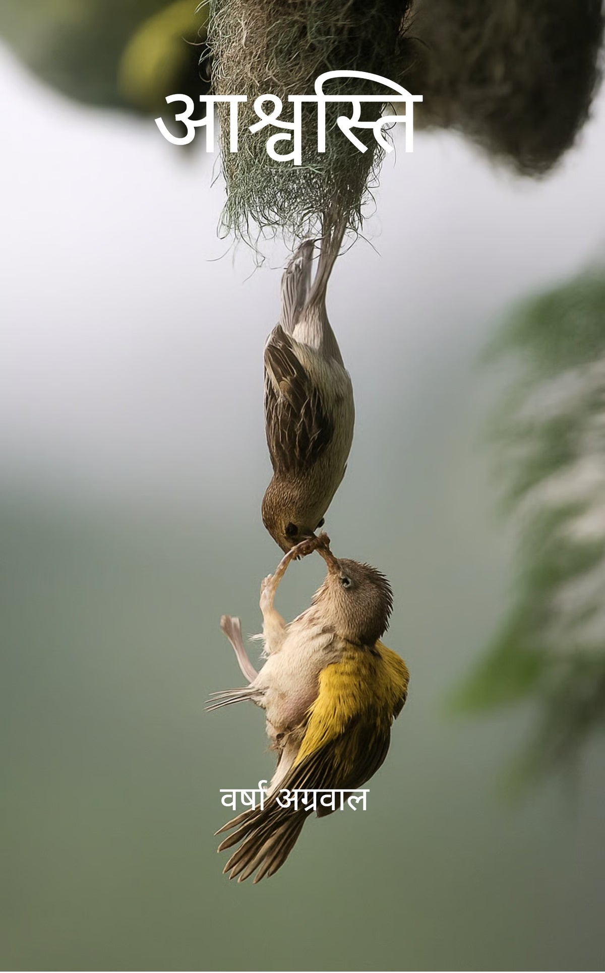 आश्वस्ति