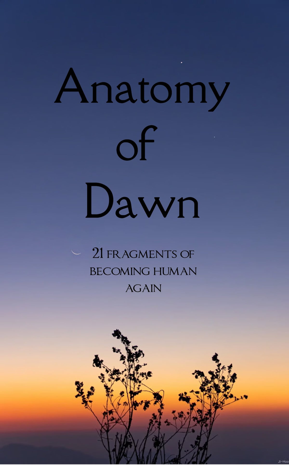 Anatomy of Dawn