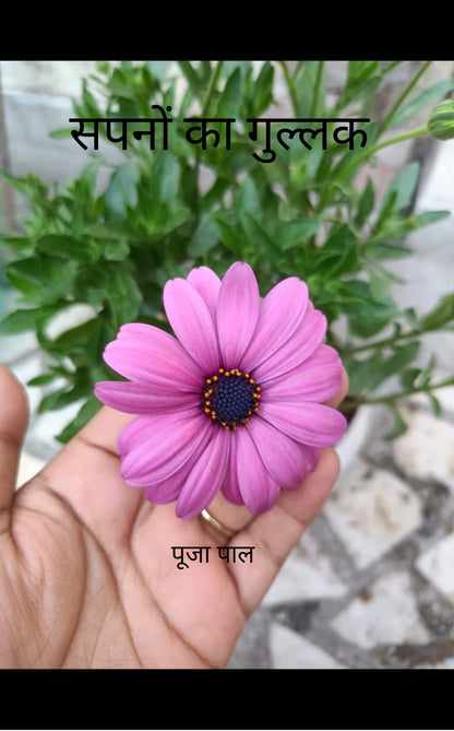 सपनों का गुल्लक