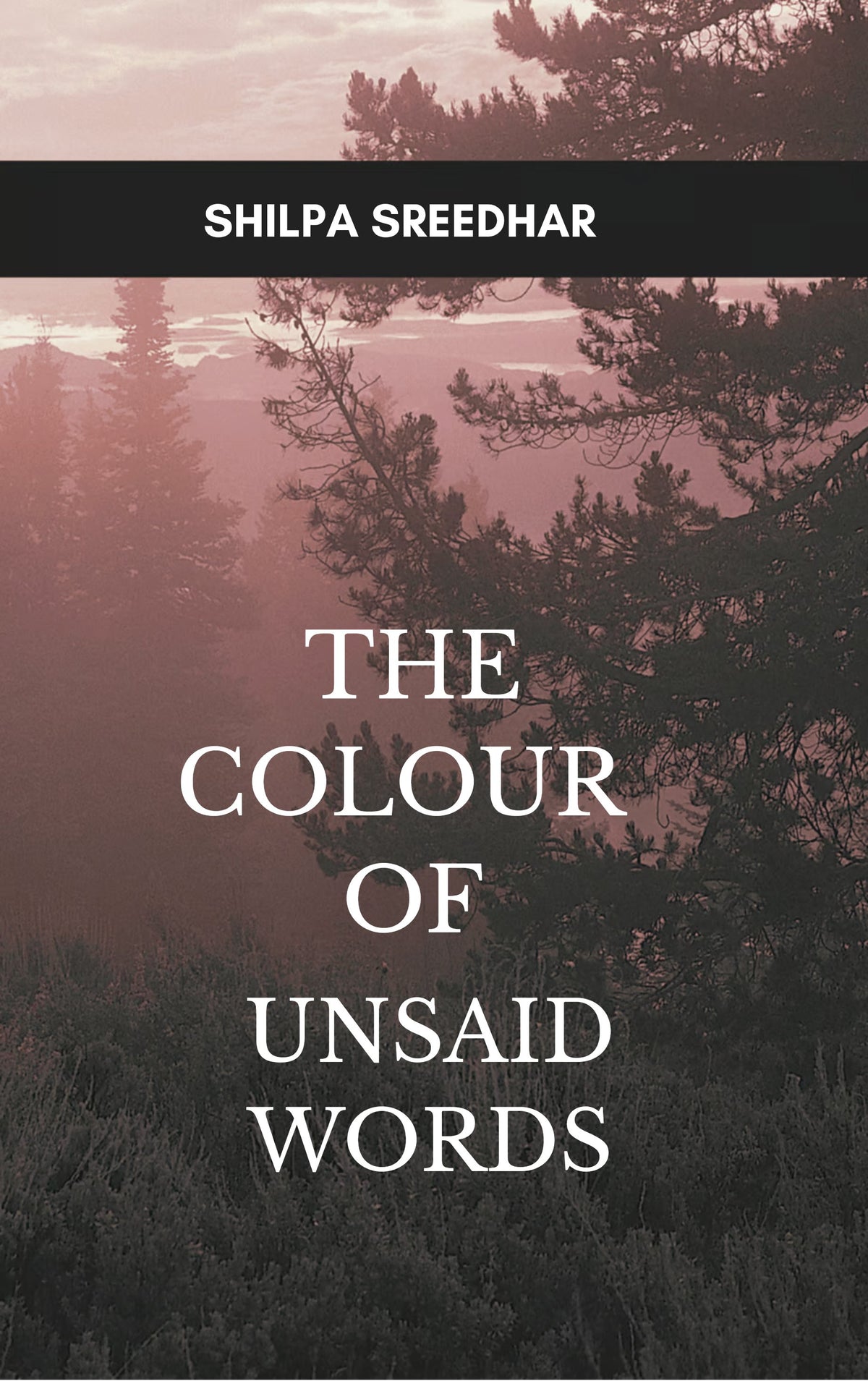 The Colour of Unsaid Words
