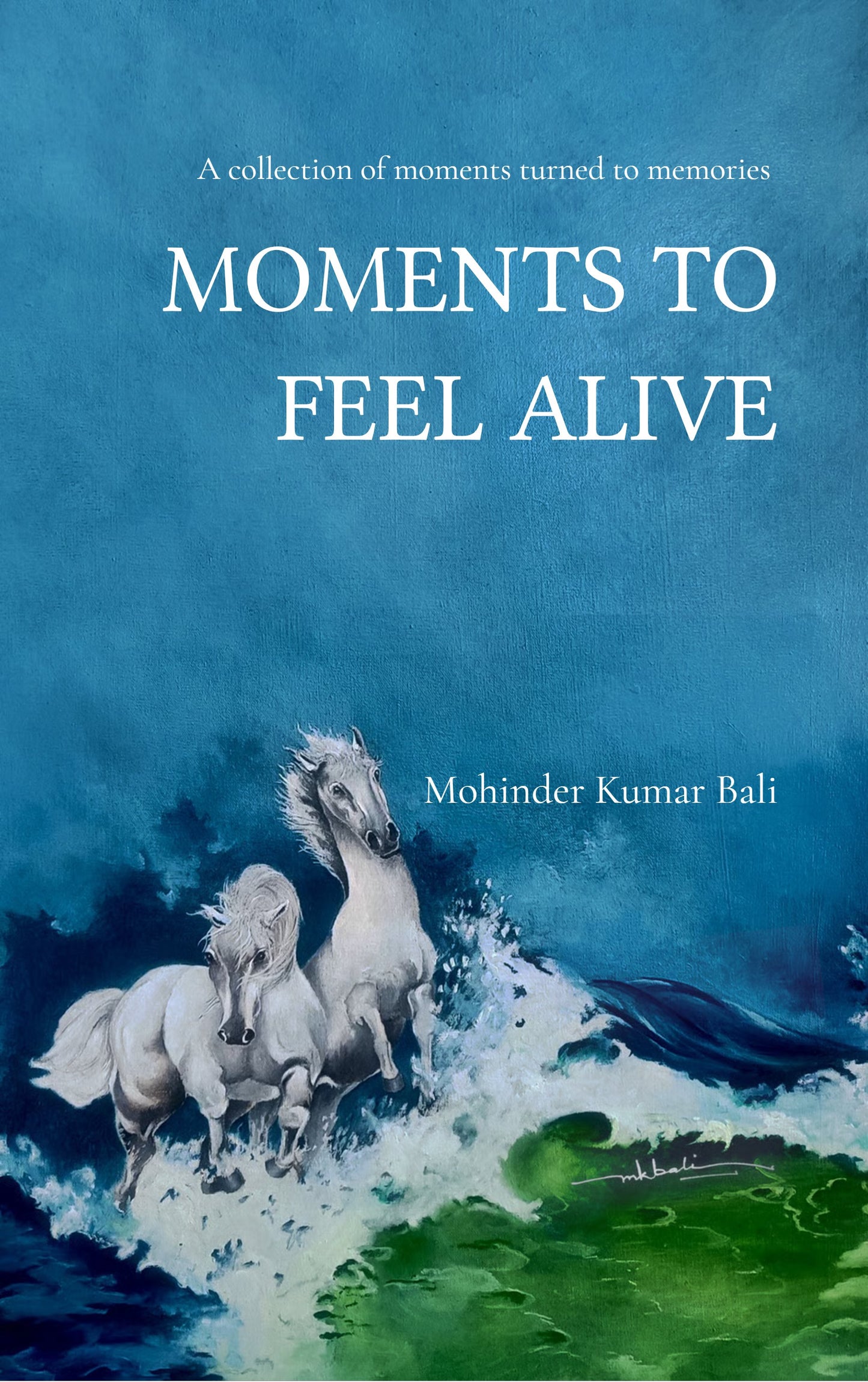 MOMENTS TO FEEL ALIVE