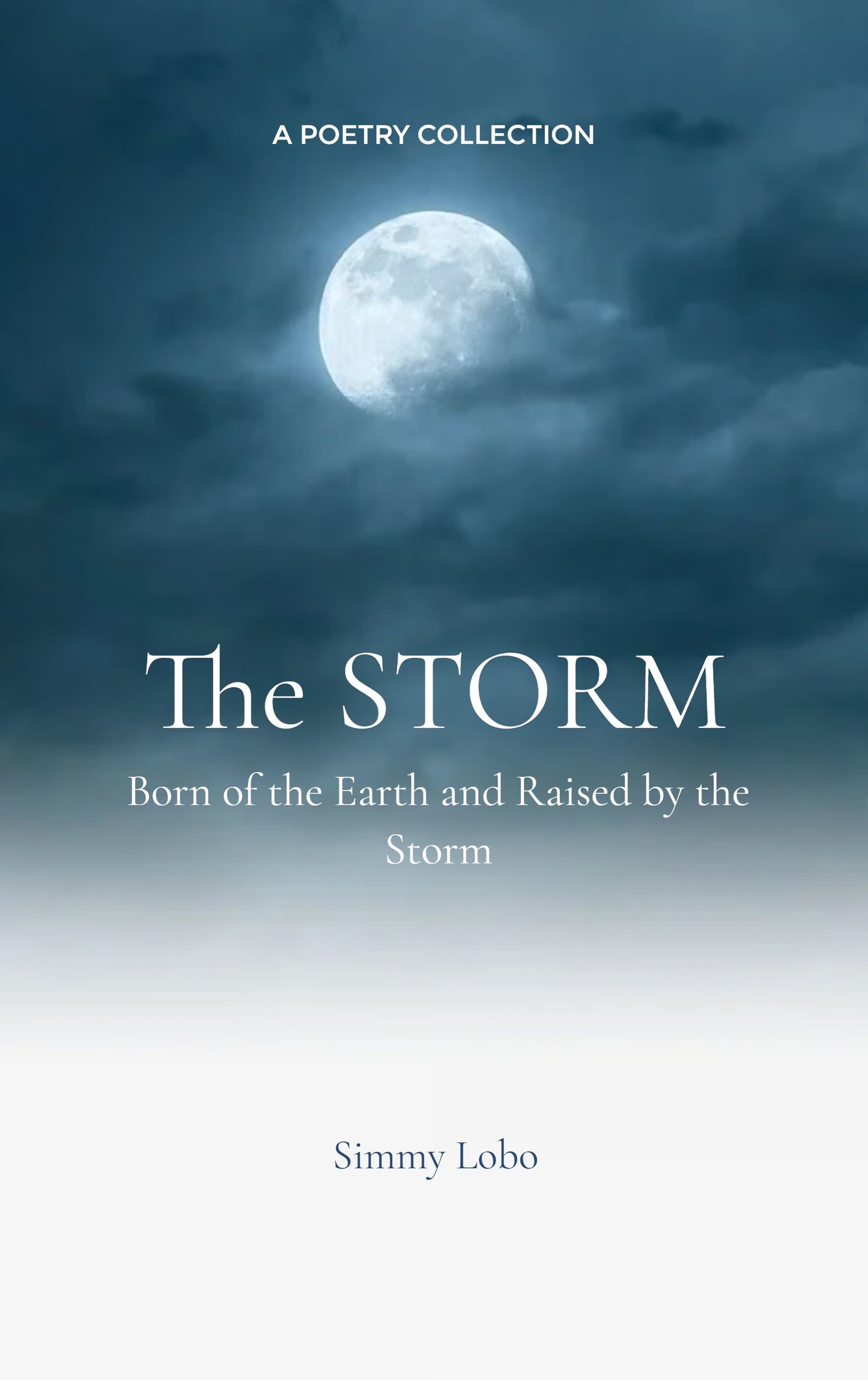The STORM