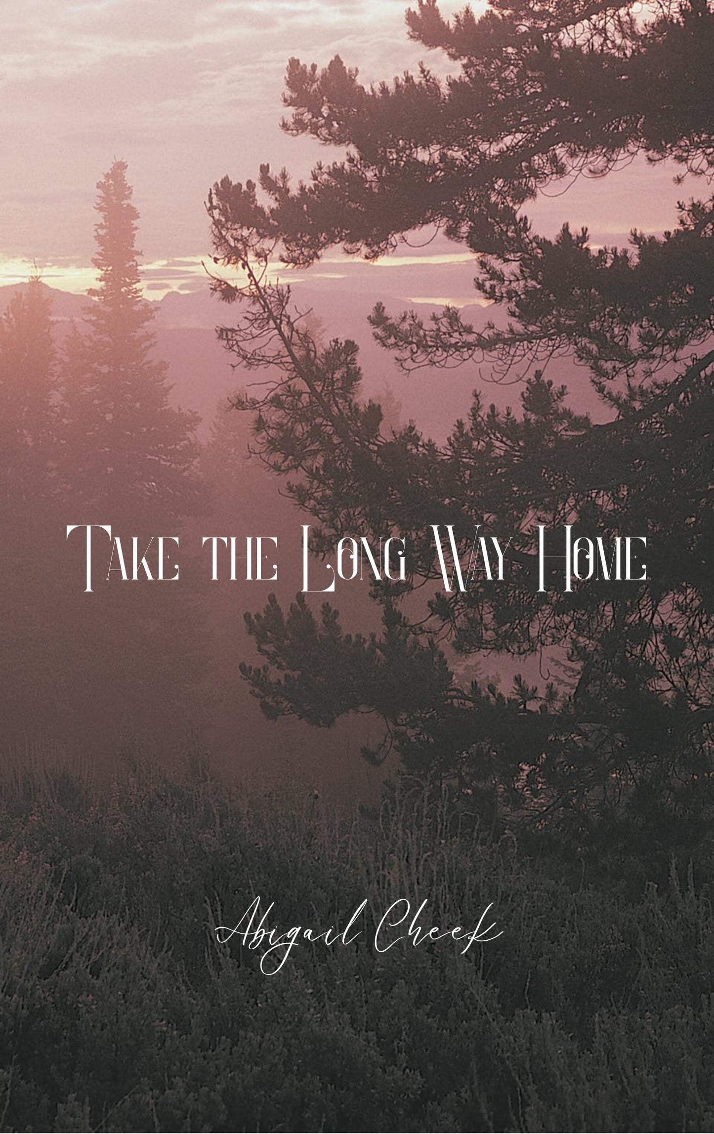 The Long Way Home