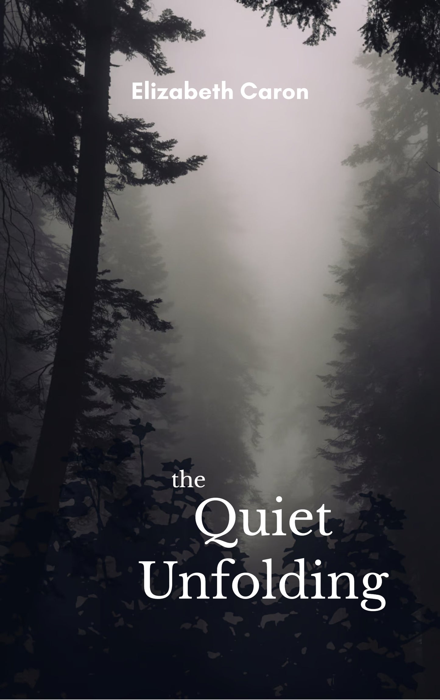 The Quiet Unfolding