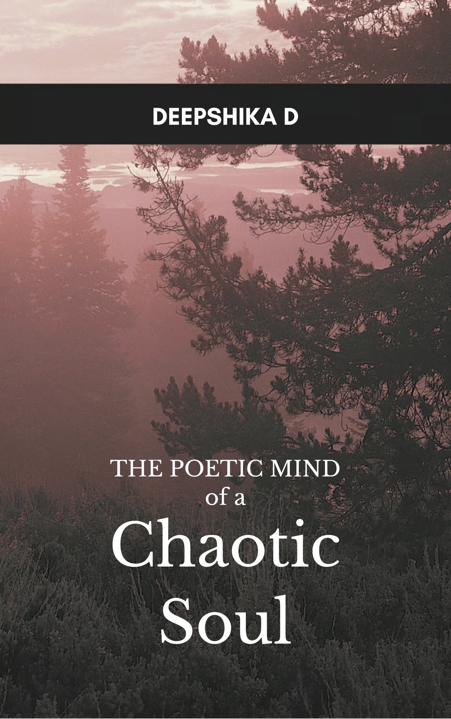 The Poetic Mind of a Chaotic Soul