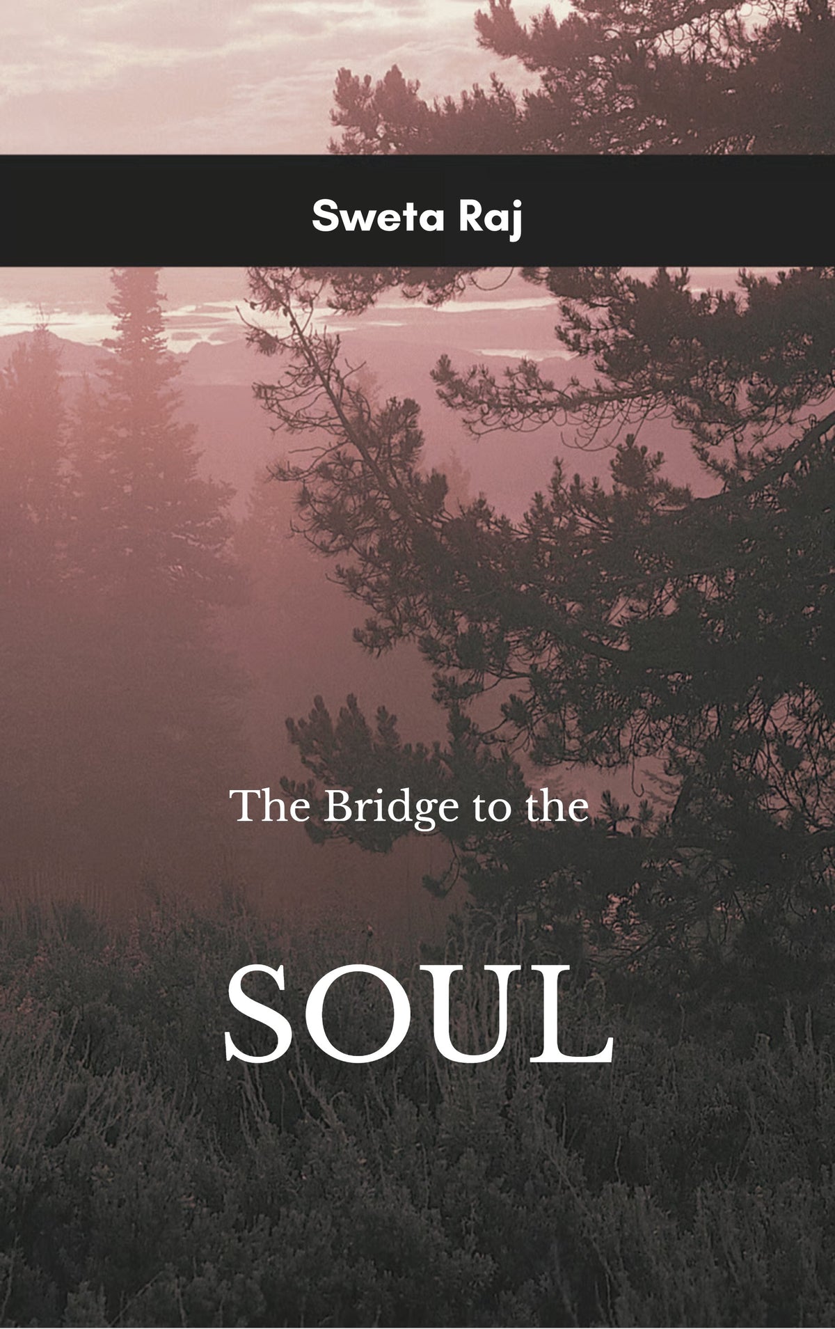 Opening The Bridge to the Soul