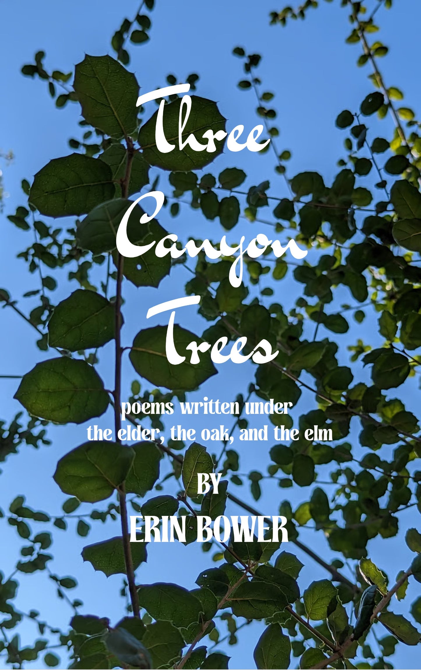 three canyon trees