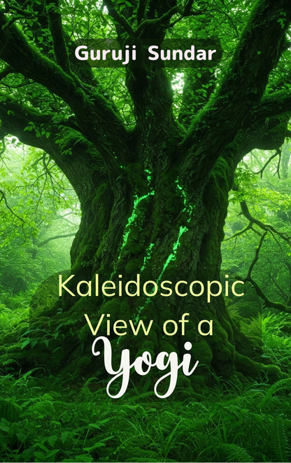 Kaleidoscopic View of a Yogi