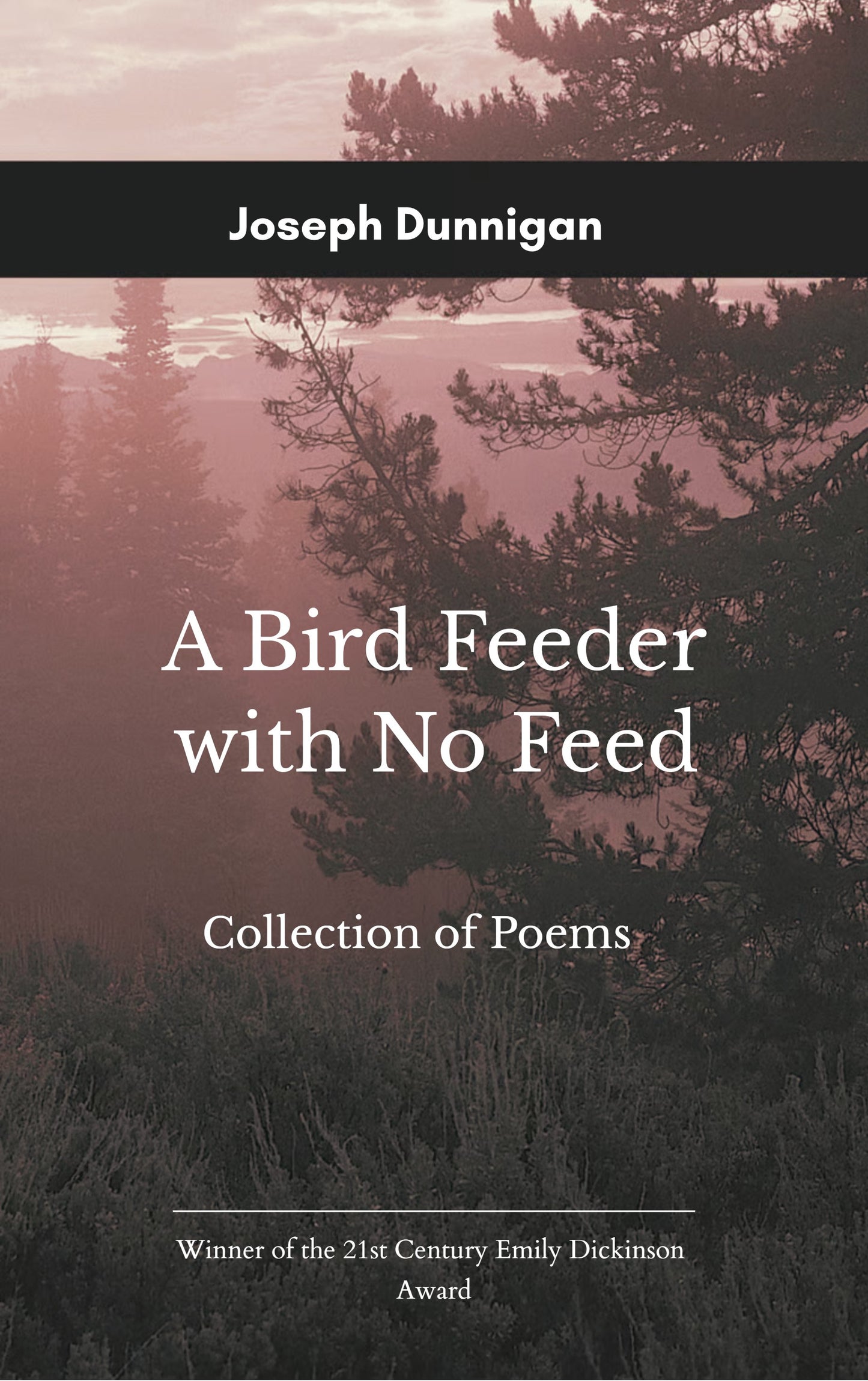 A Bird Feeder with No Feed