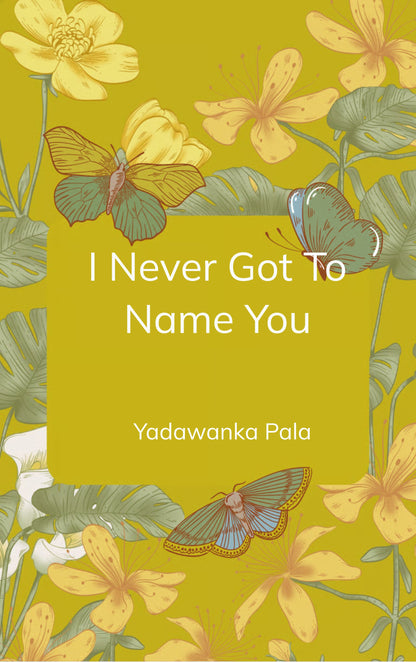I Never Got To Name You