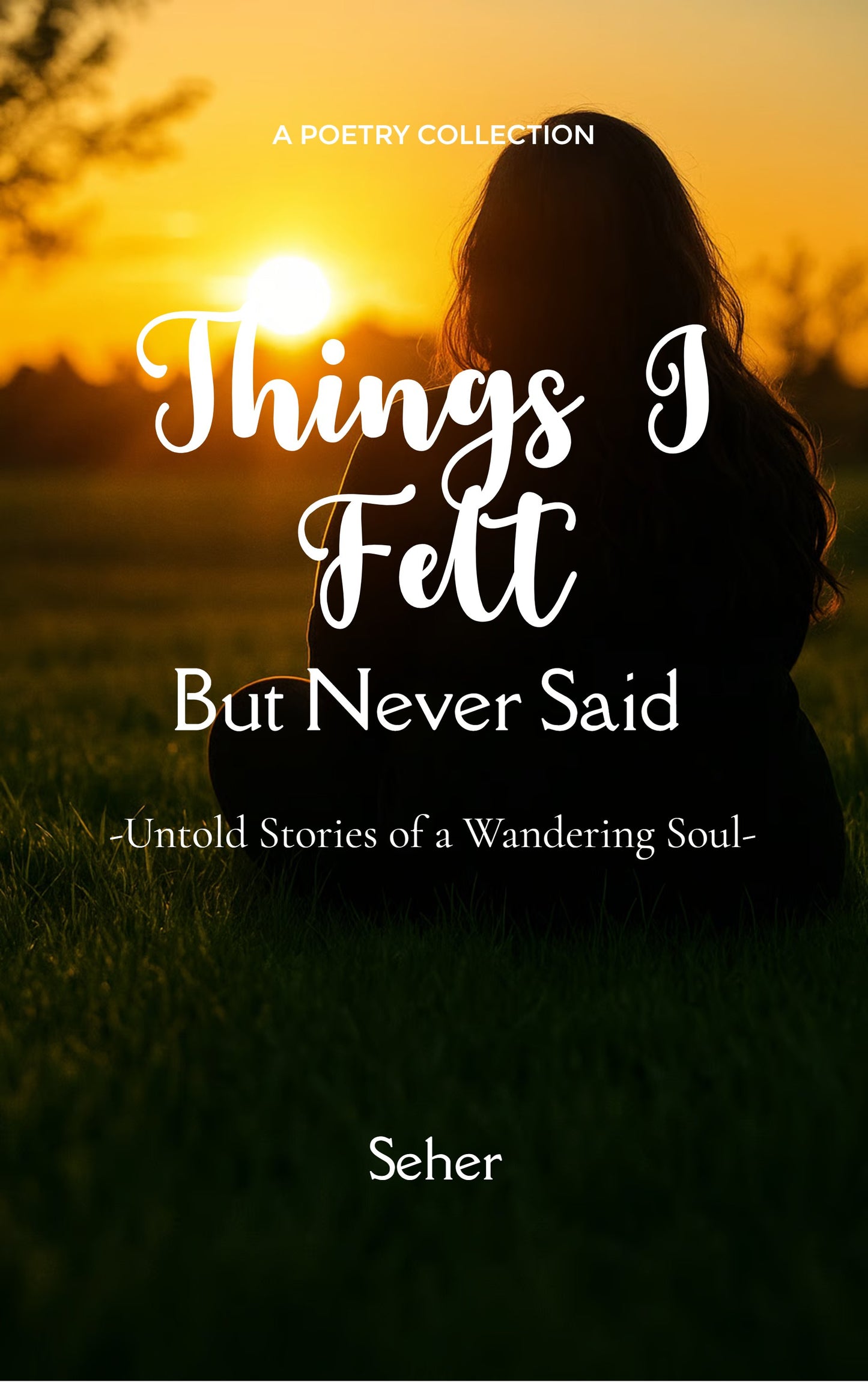 Things I Felt but Never Said