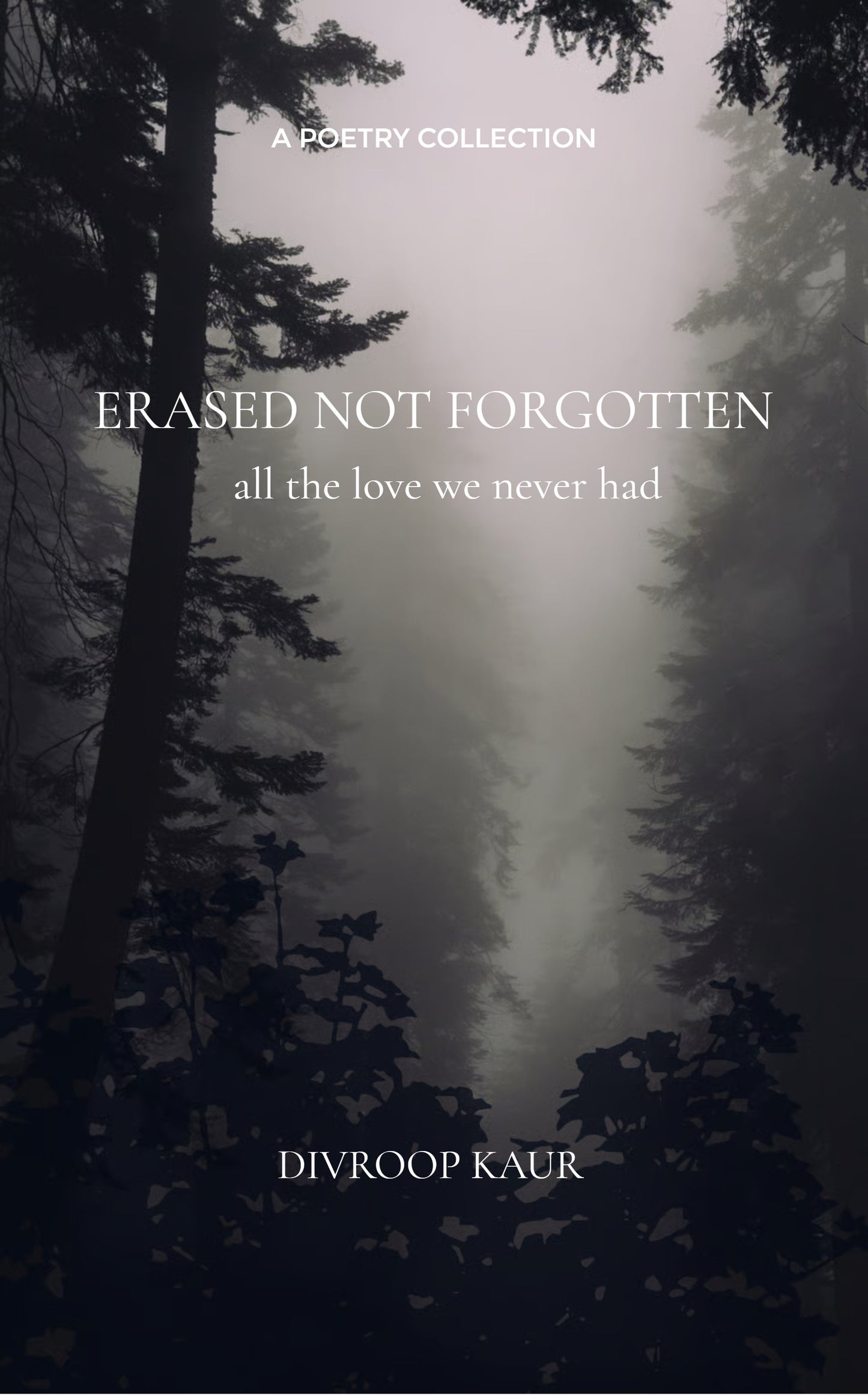 ERASED NOT FORGOTTEN