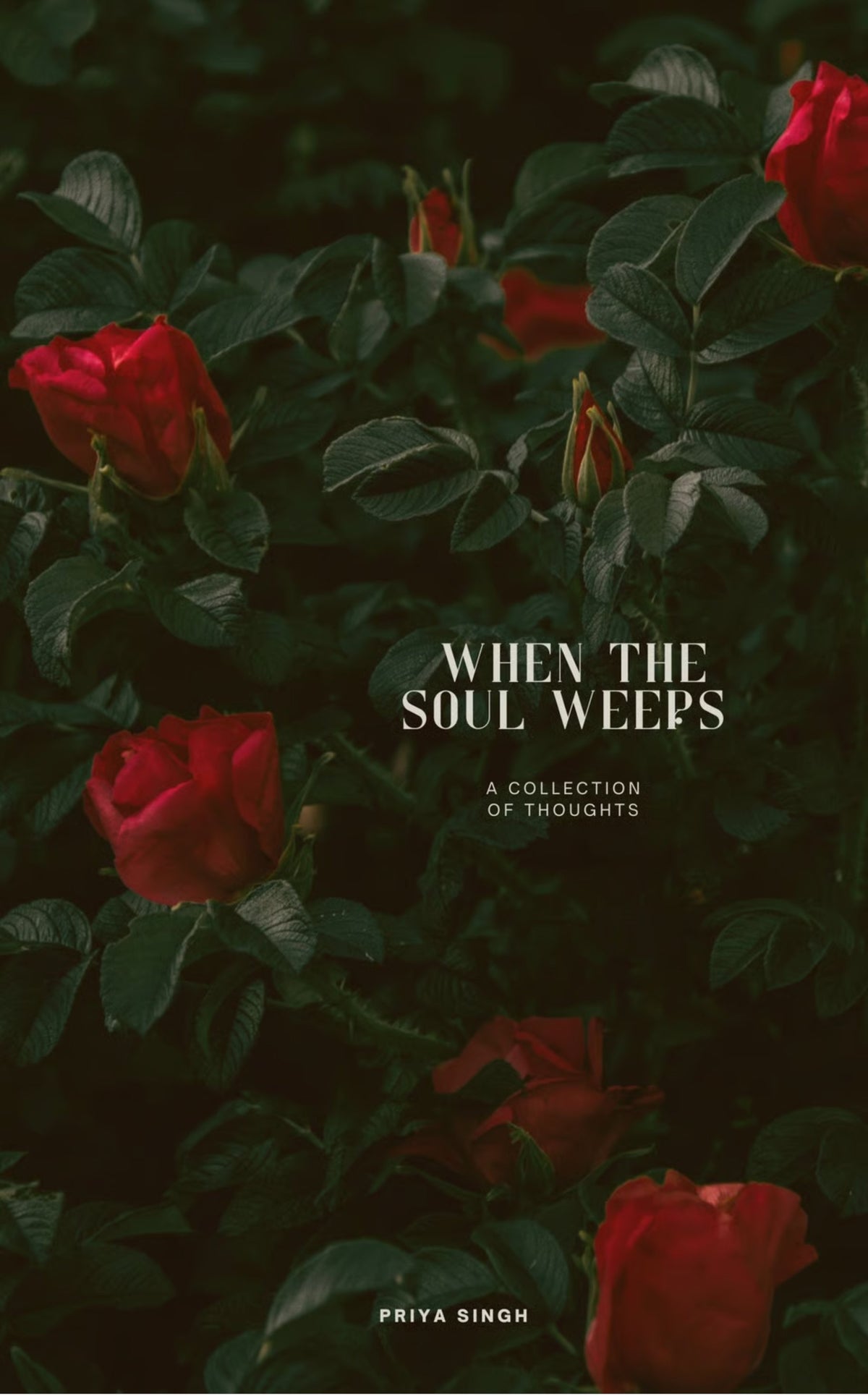 When The Soul Weeps