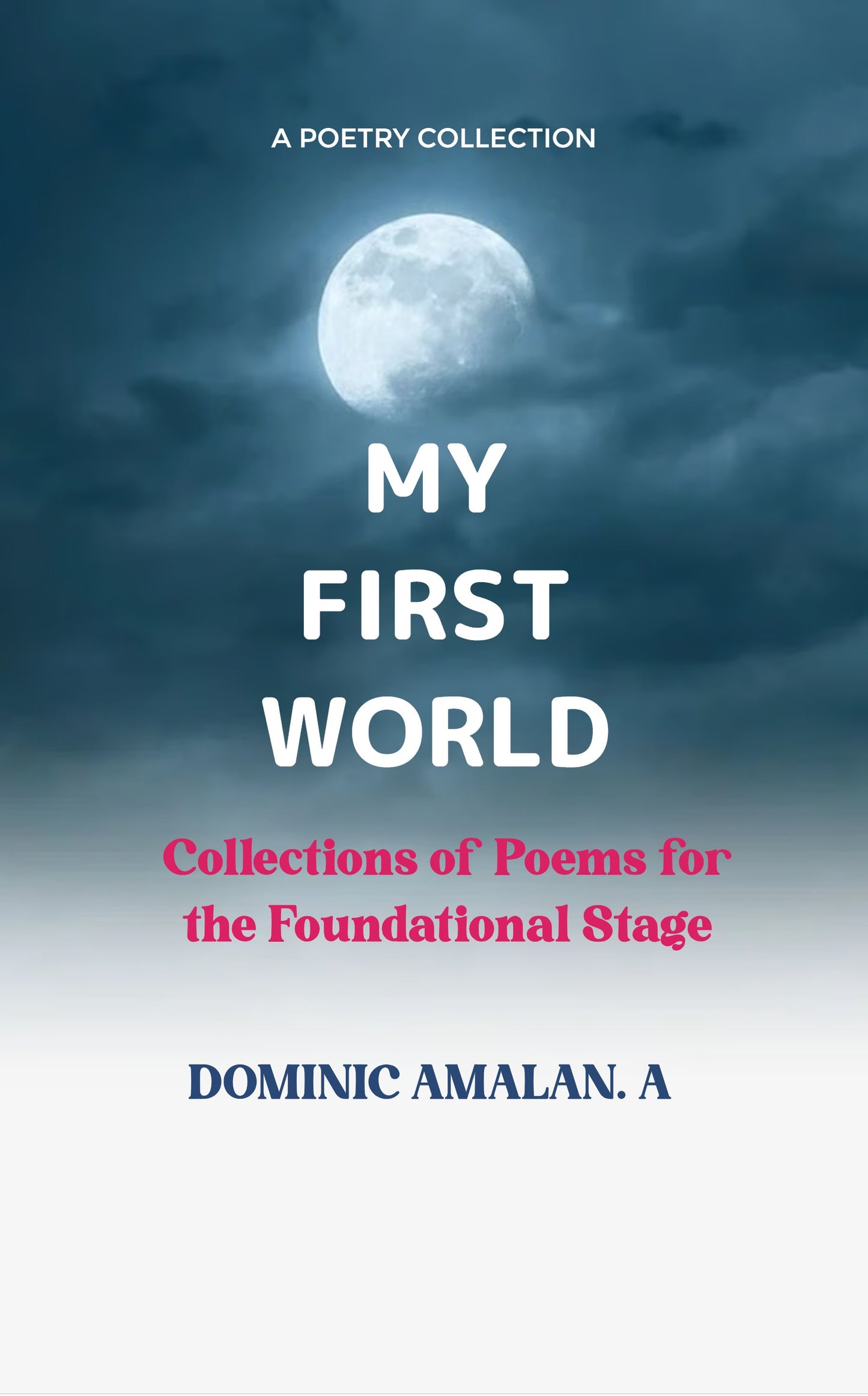 MY FIRST WORLD:
