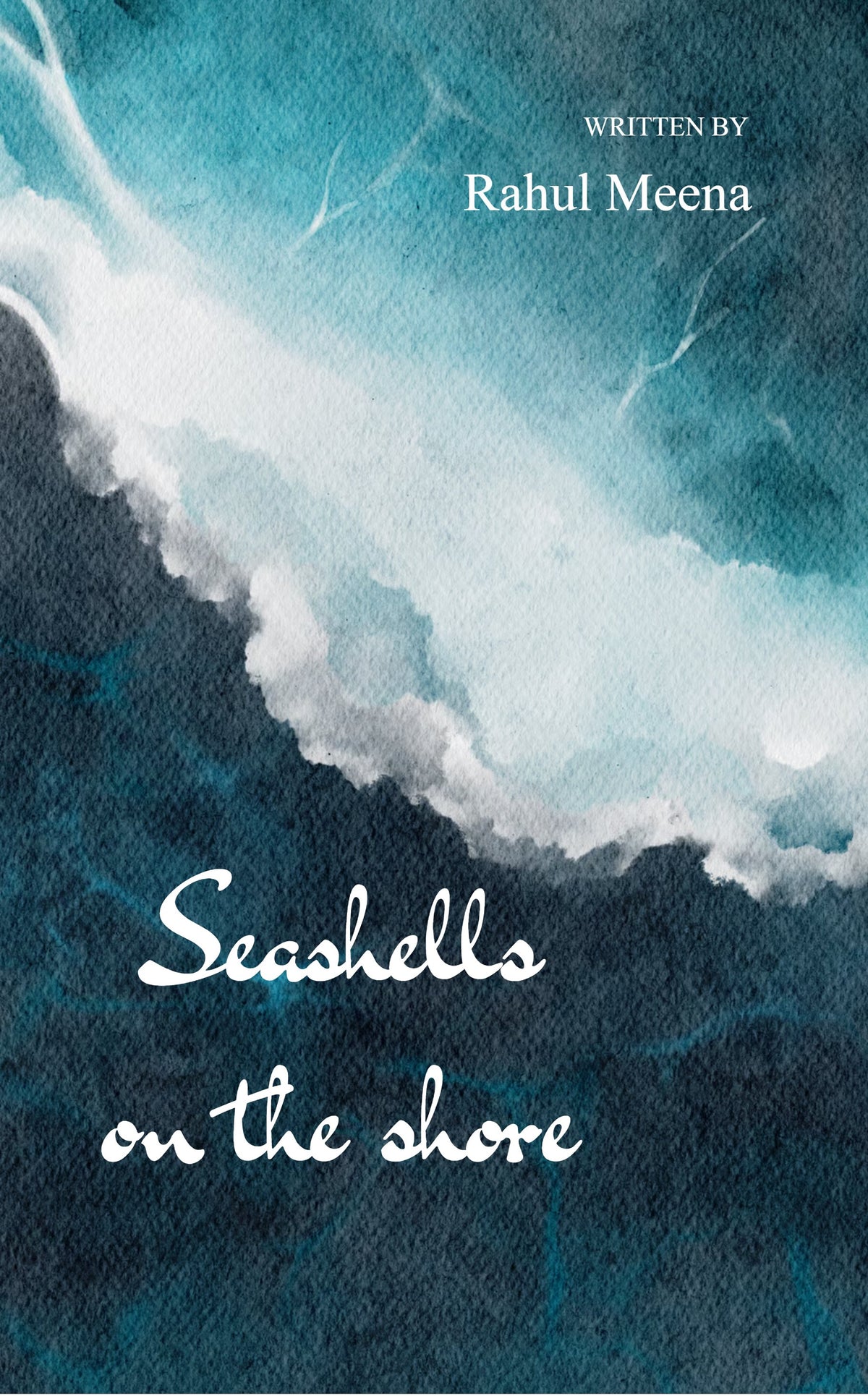 seashells on the shore