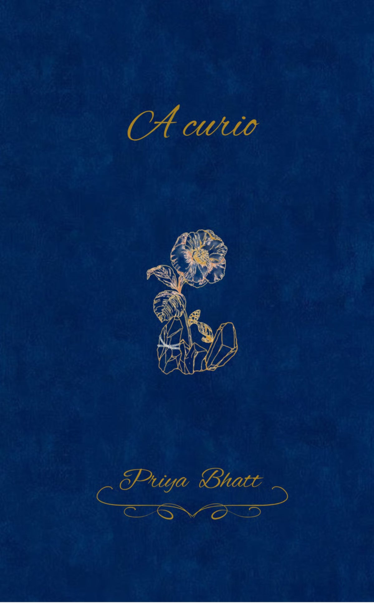 A Curio