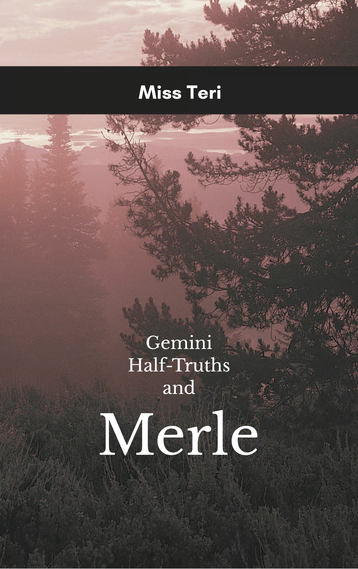 Gemini Half Truths
