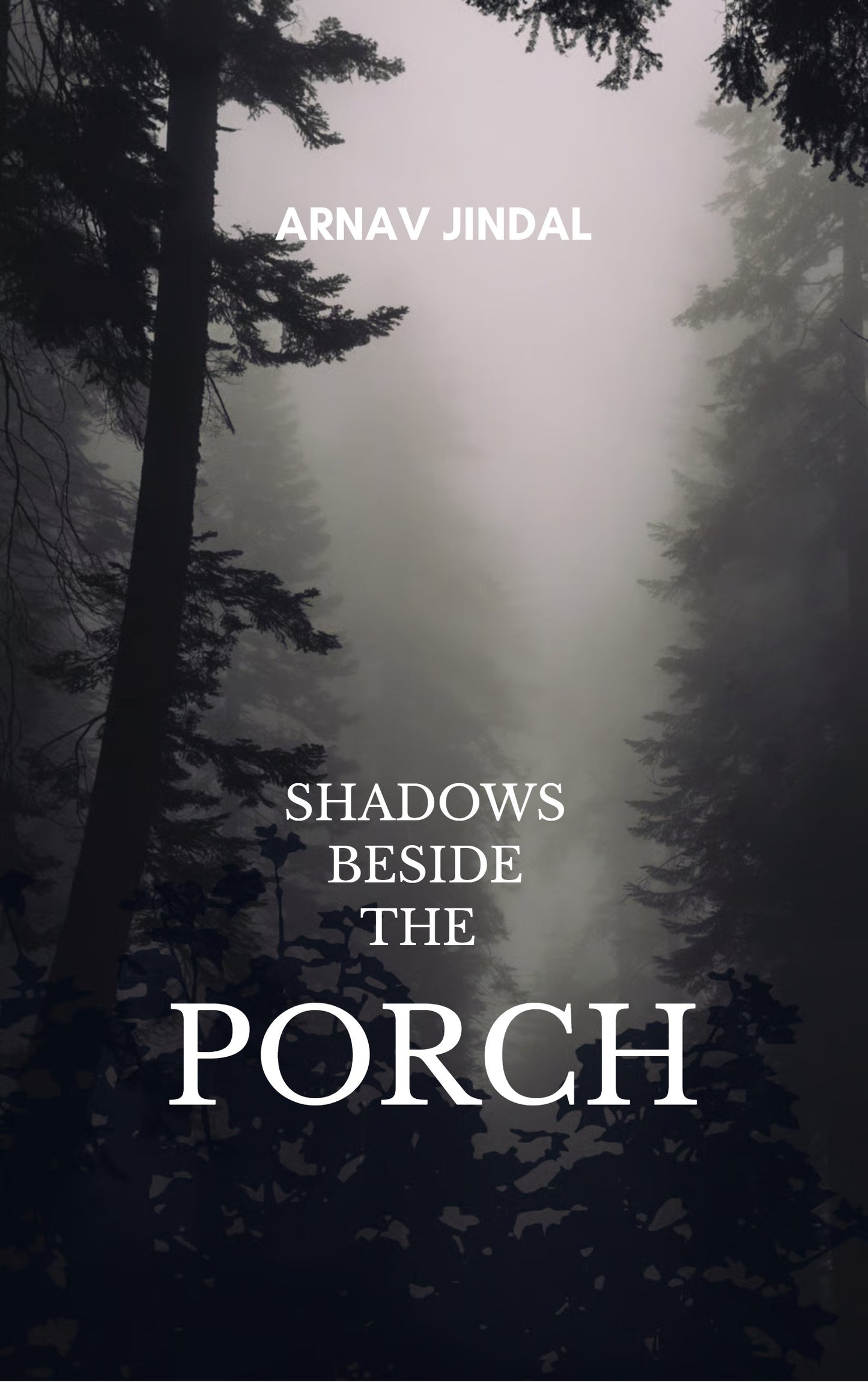 Shadows Beside The Porch