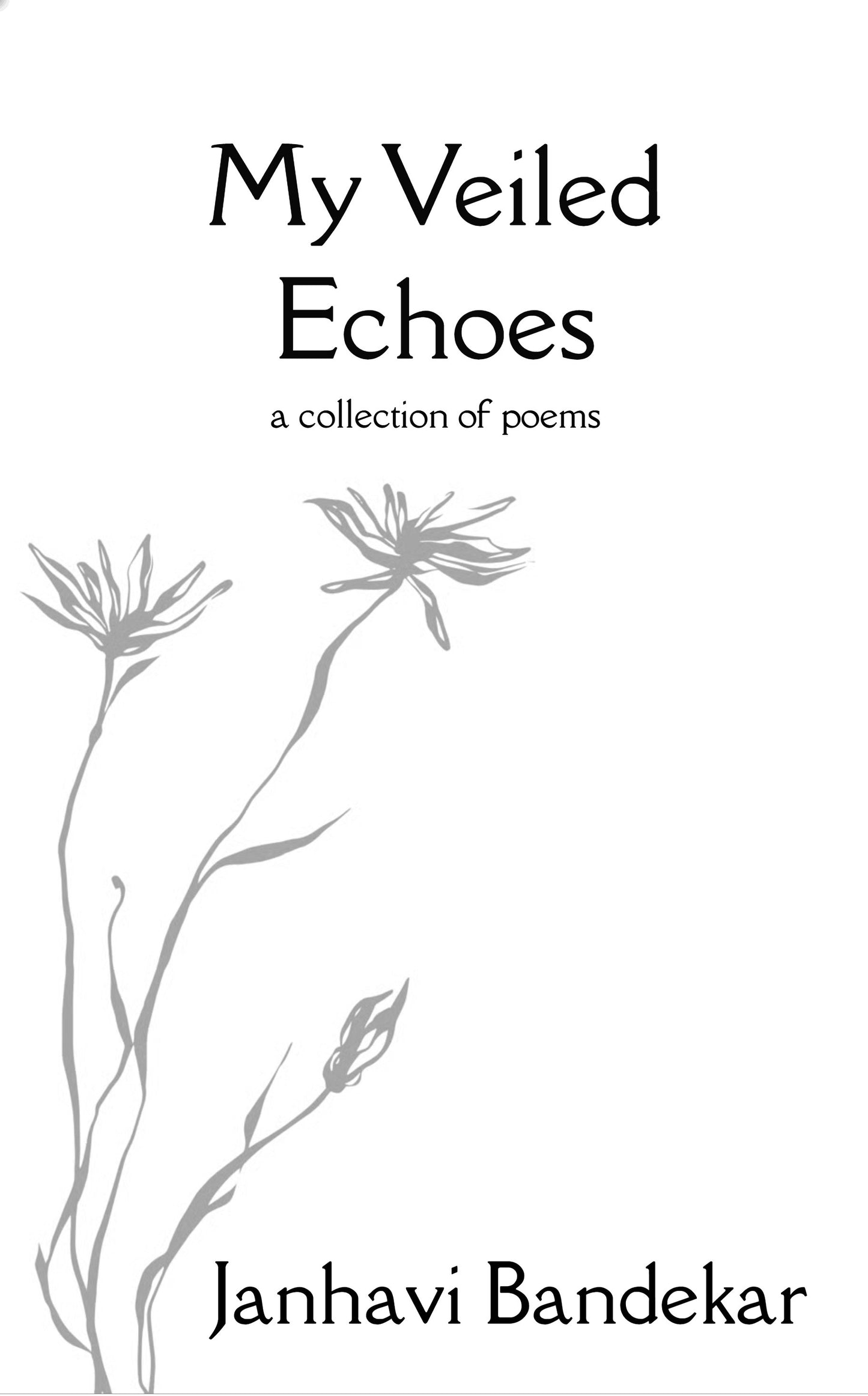 My Veiled Echoes