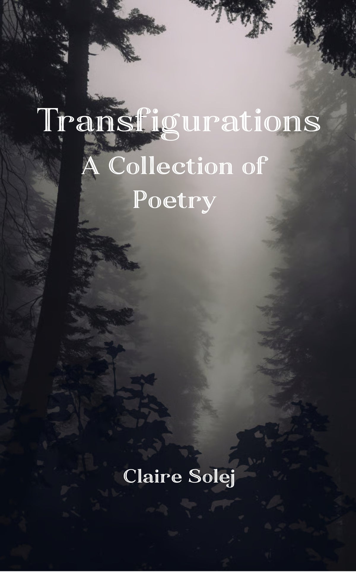 Transfigurations