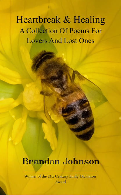 Heartbreak & Healing: A collection of poems for lovers and lost ones