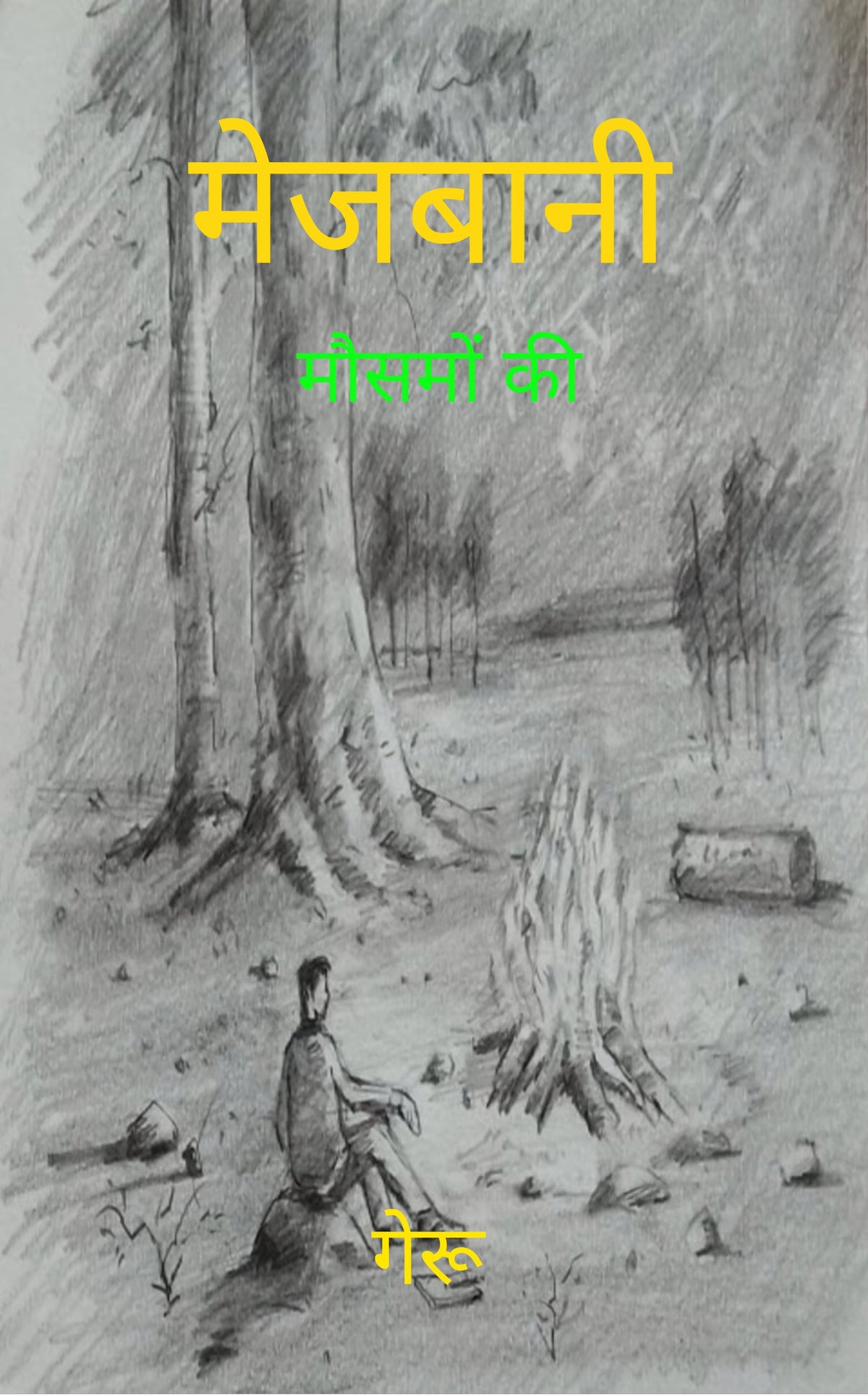मेजबानी