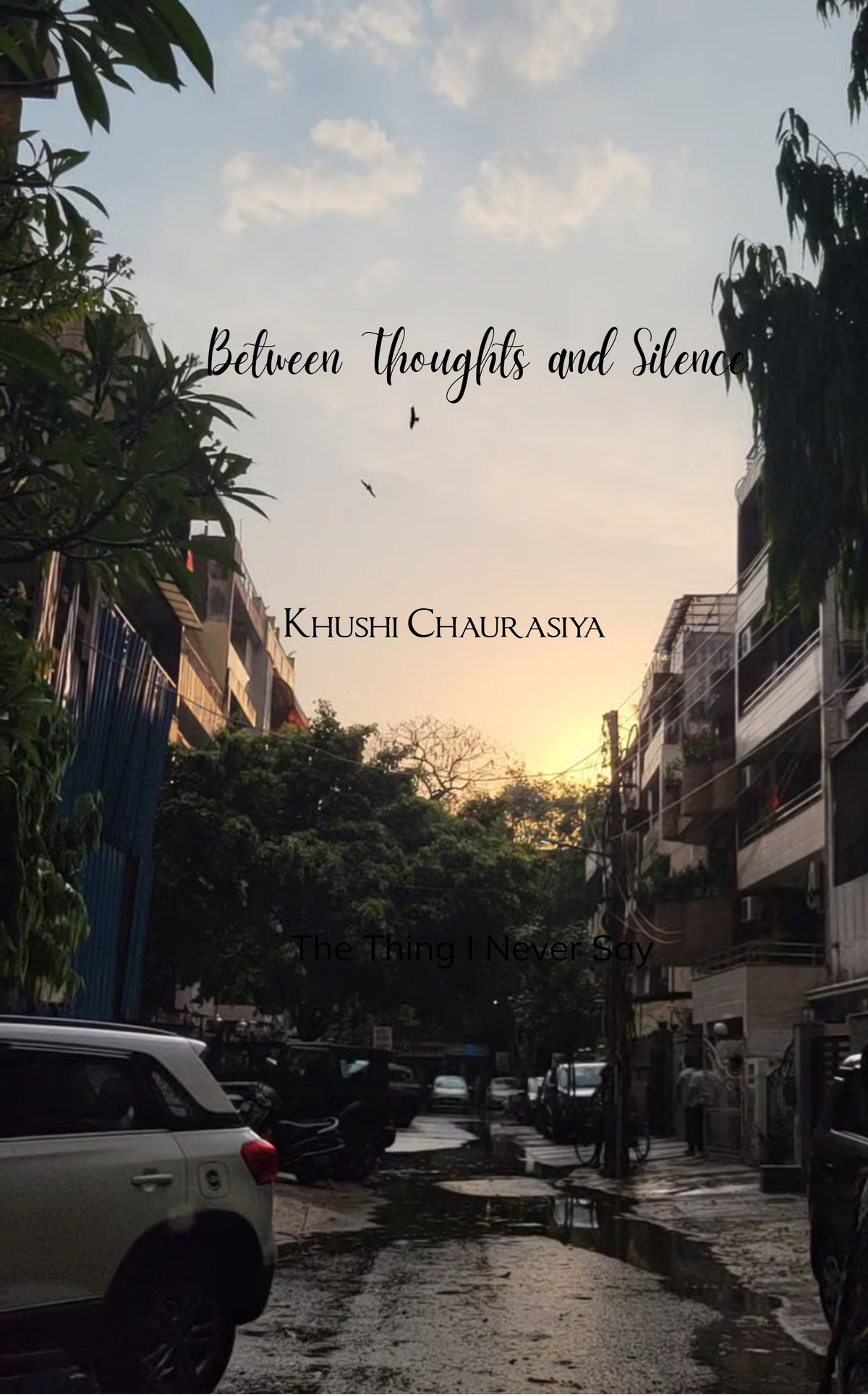 Between Thoughts and Silence