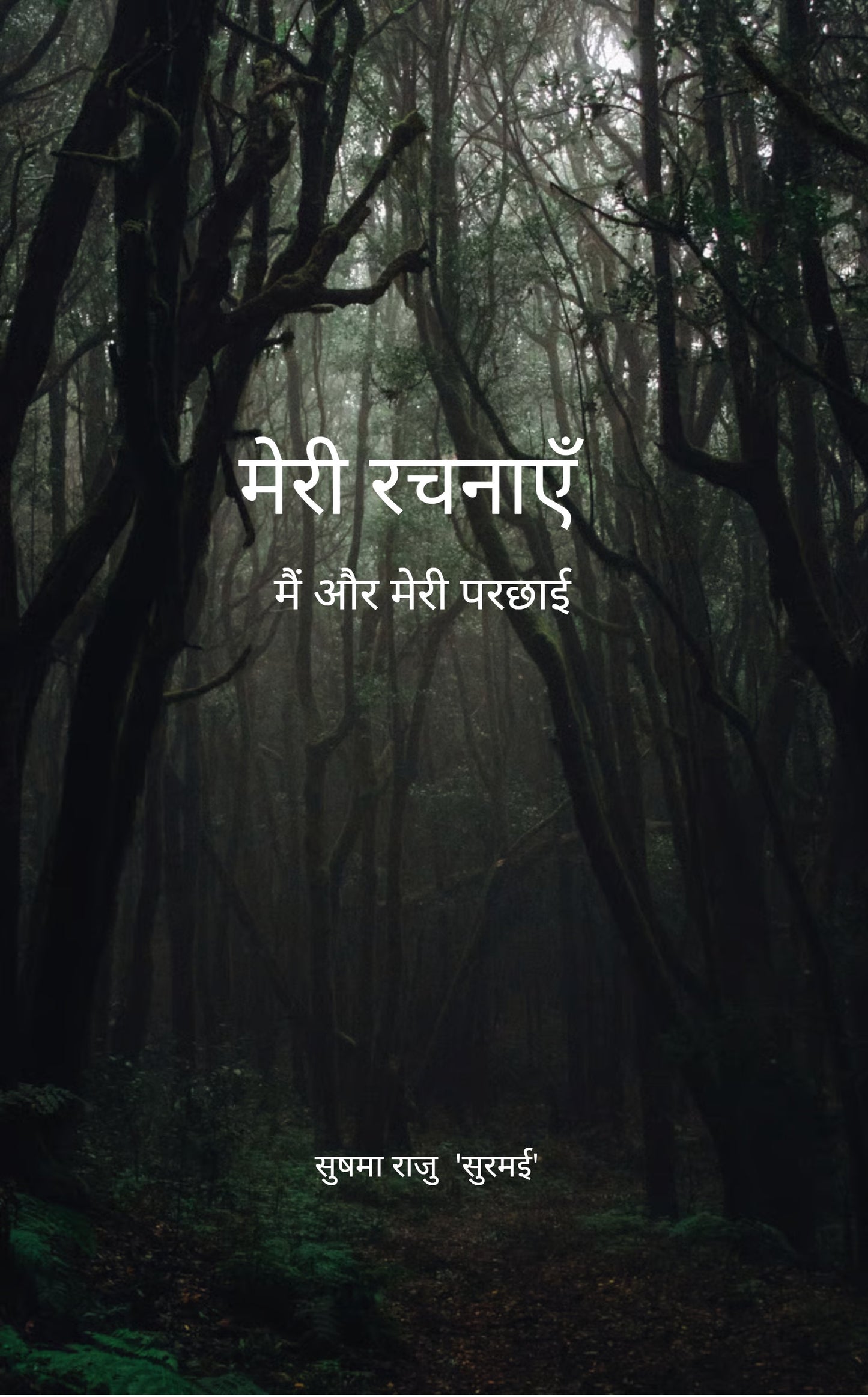 मेरी रचनाएँ