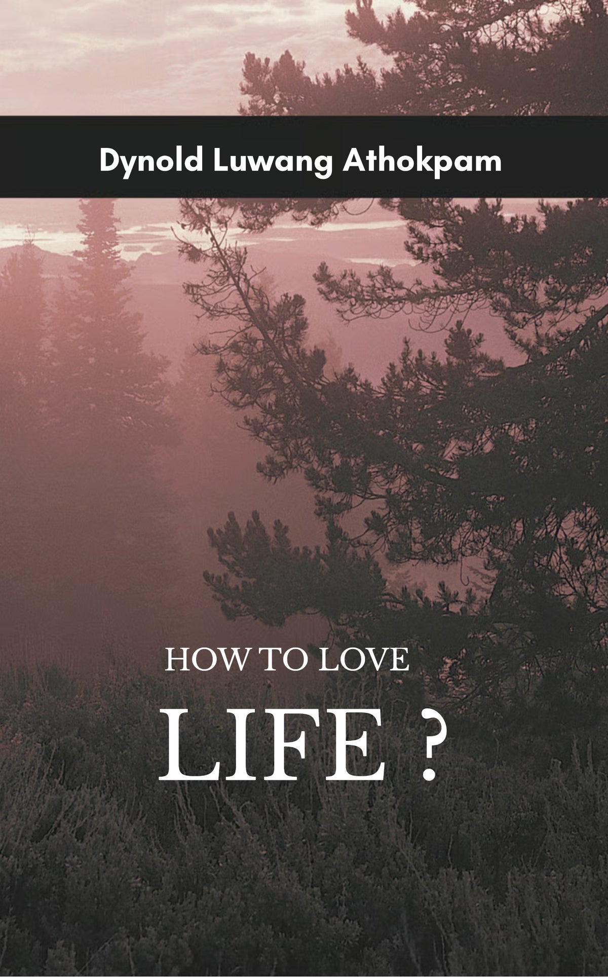 HOW TO LOVE LIFE?