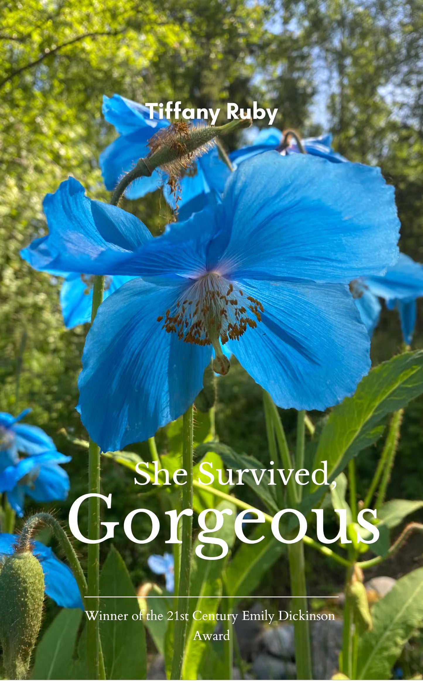 She Survived, Gorgeous