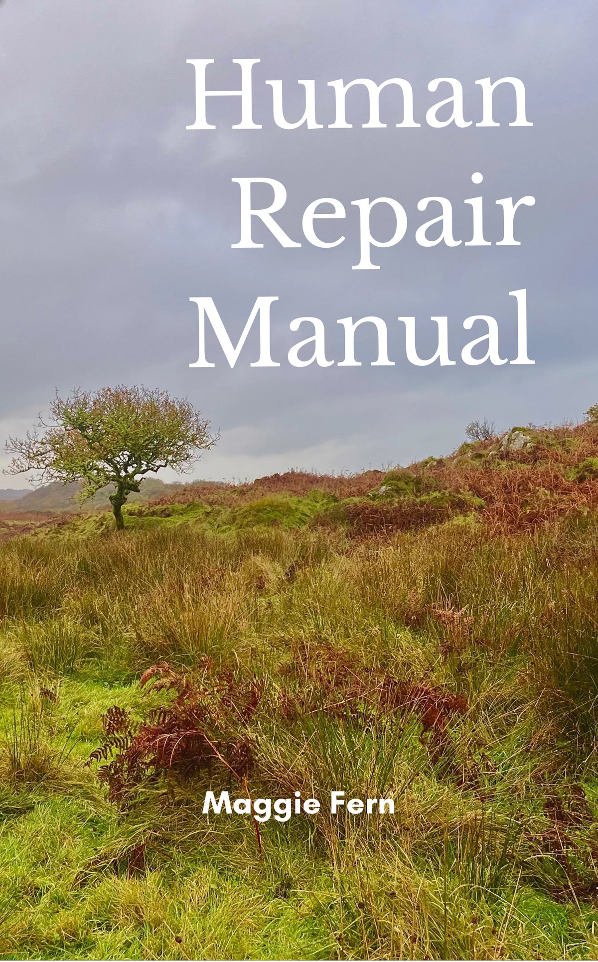 Human Repair Manual