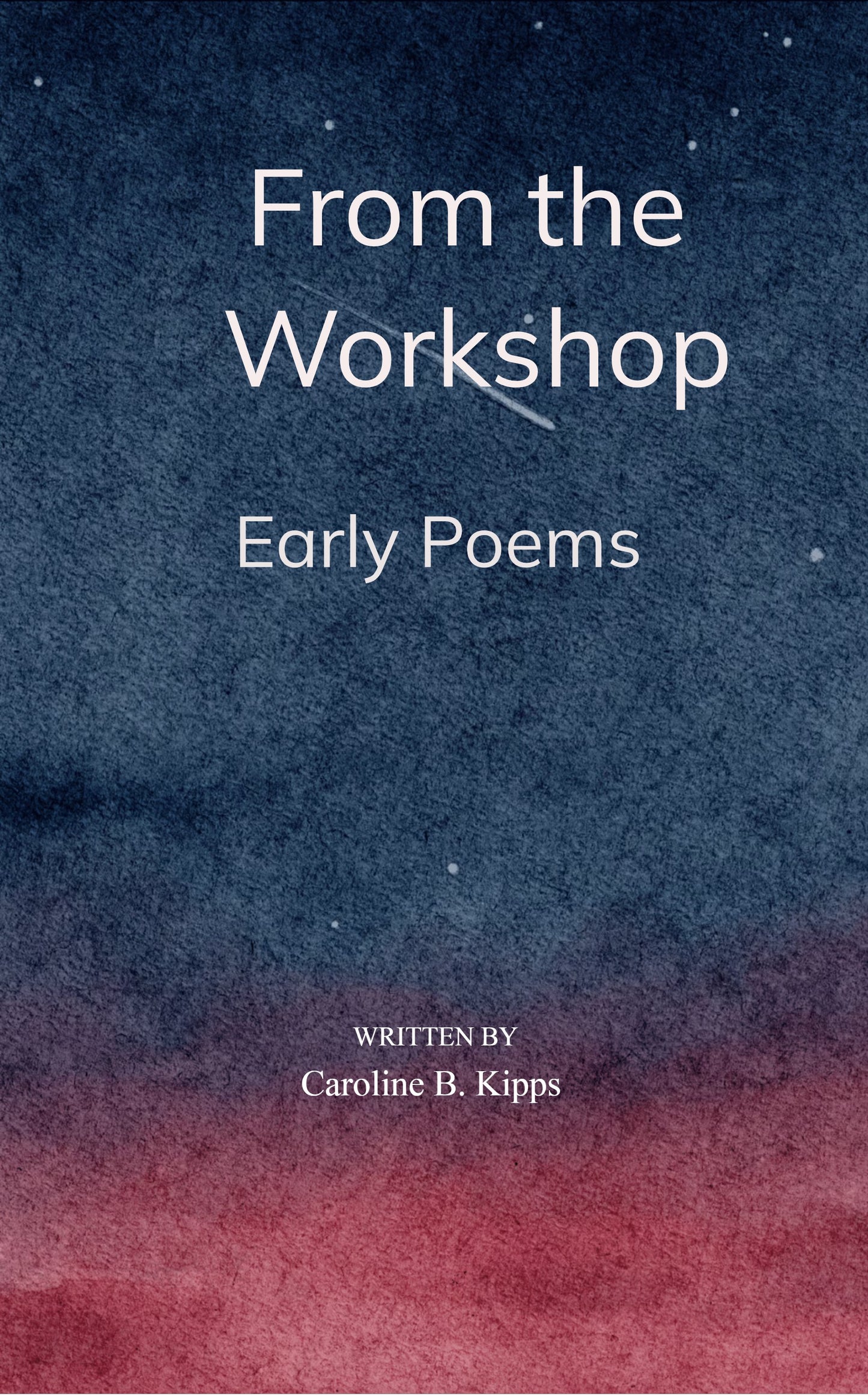 From the Workshop: