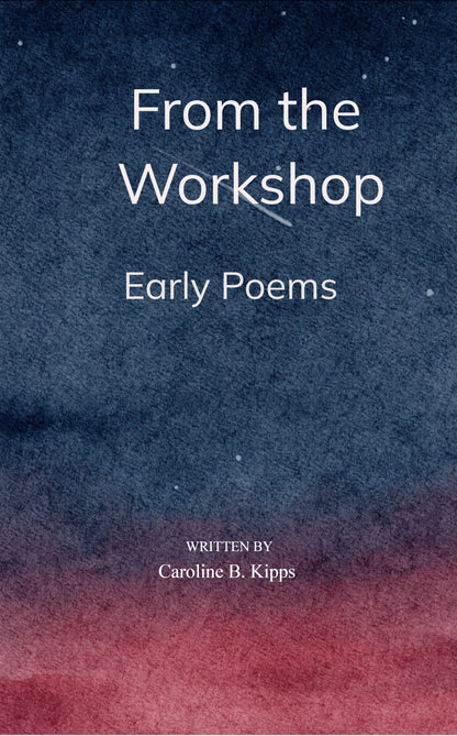 From the Workshop: