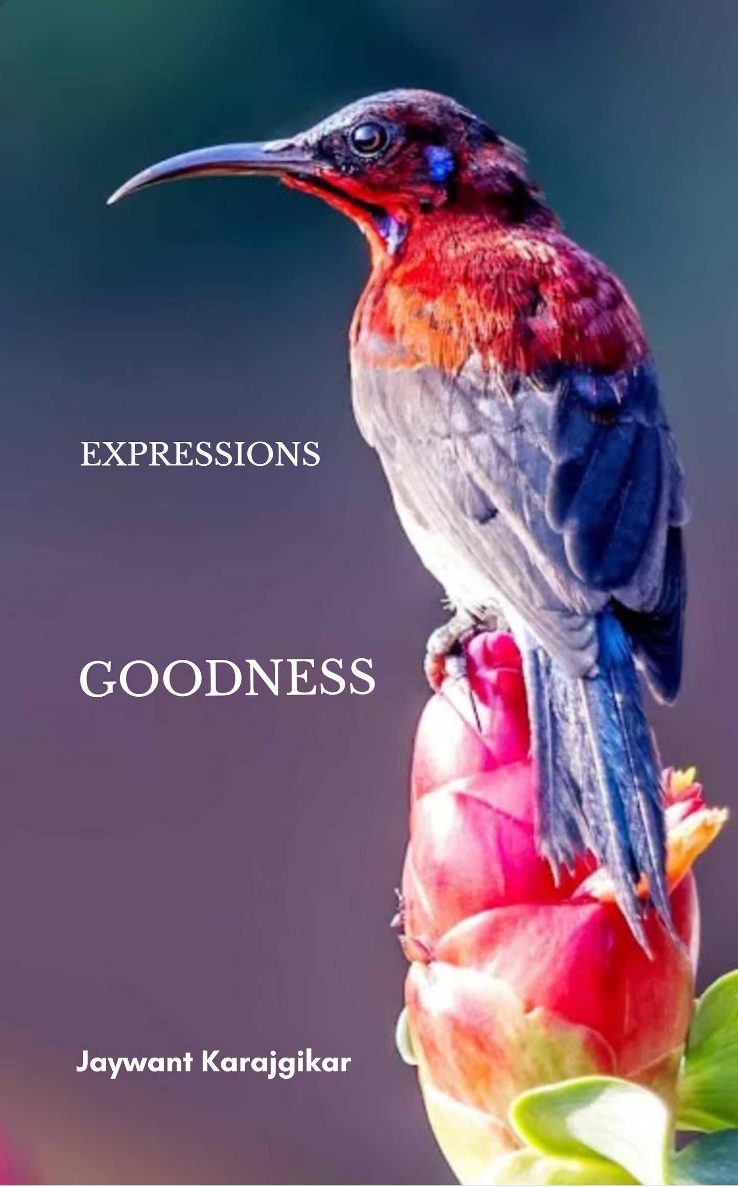 Expressions