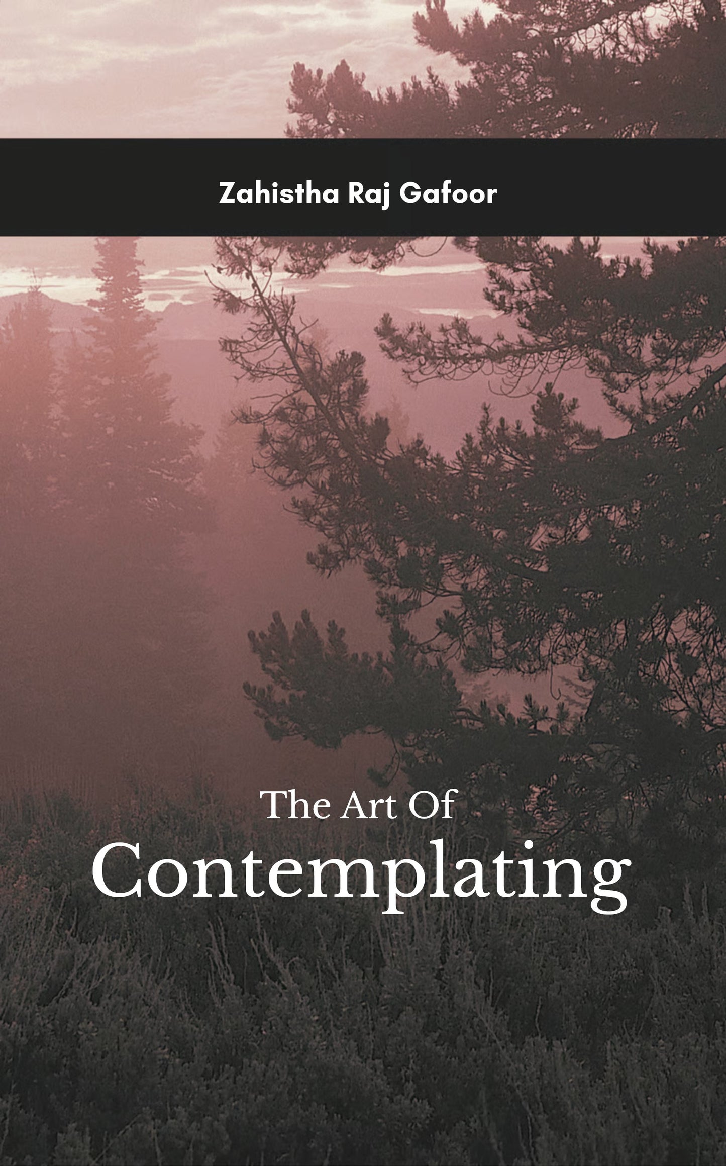 The Art of Contemplation