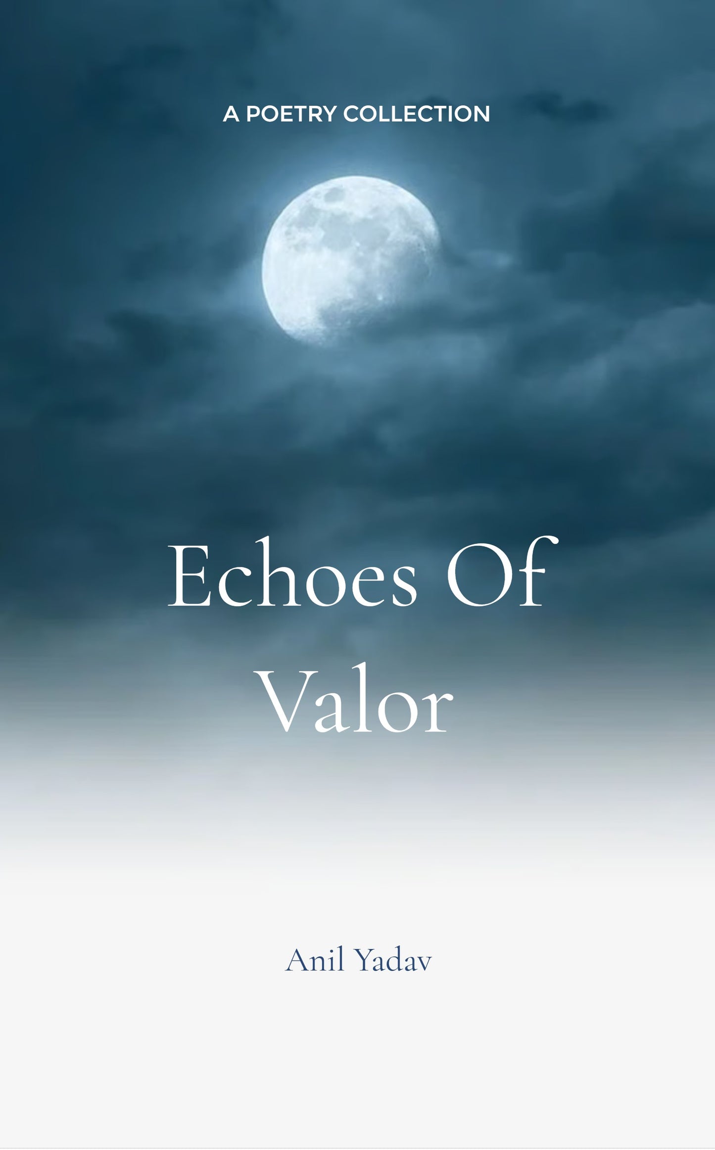 Echoes of Valor