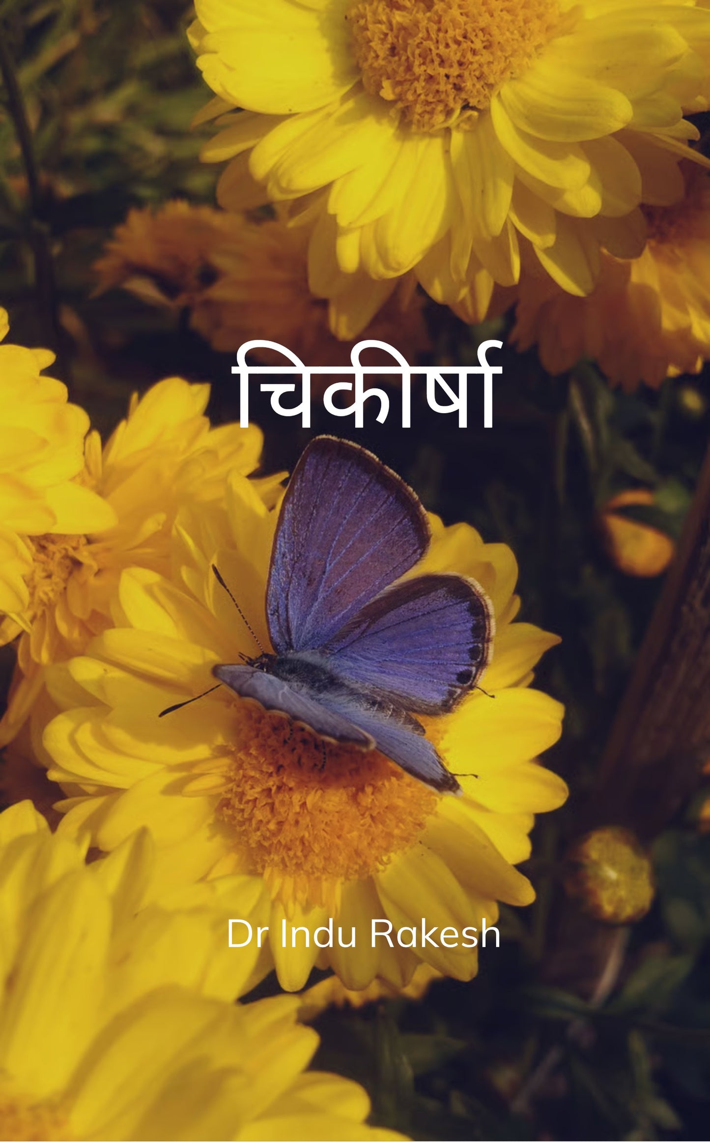 चिकीर्षा