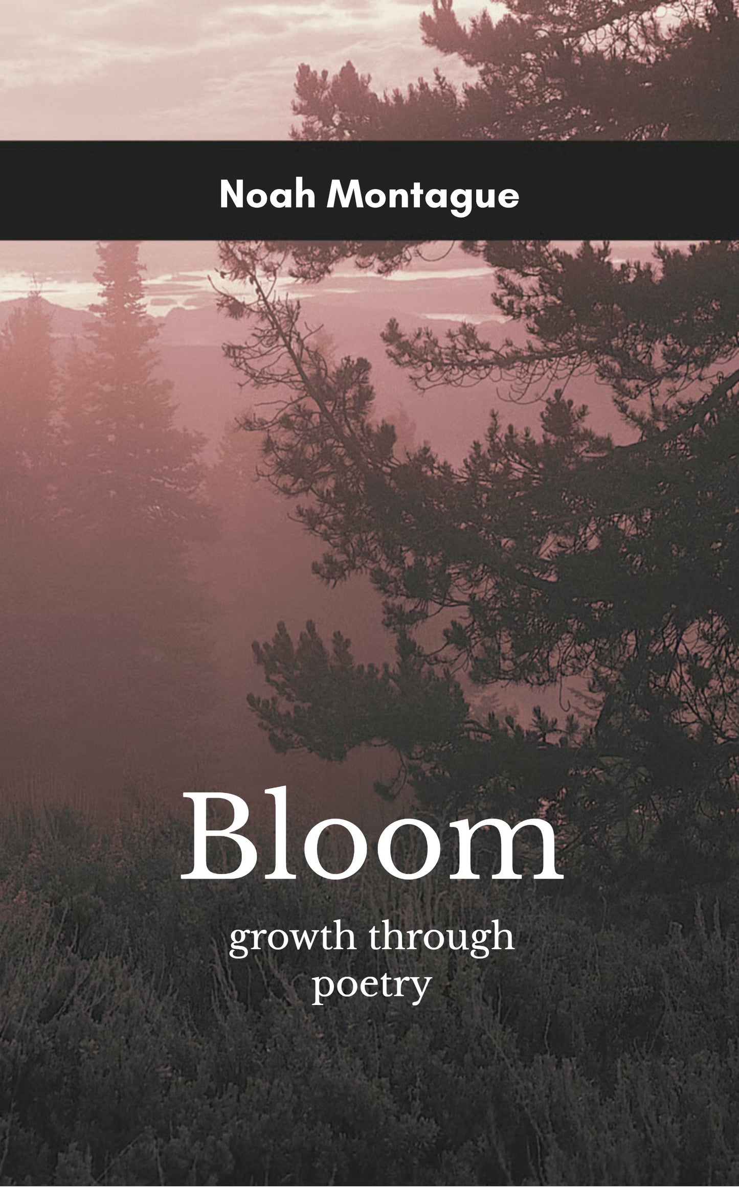bloom