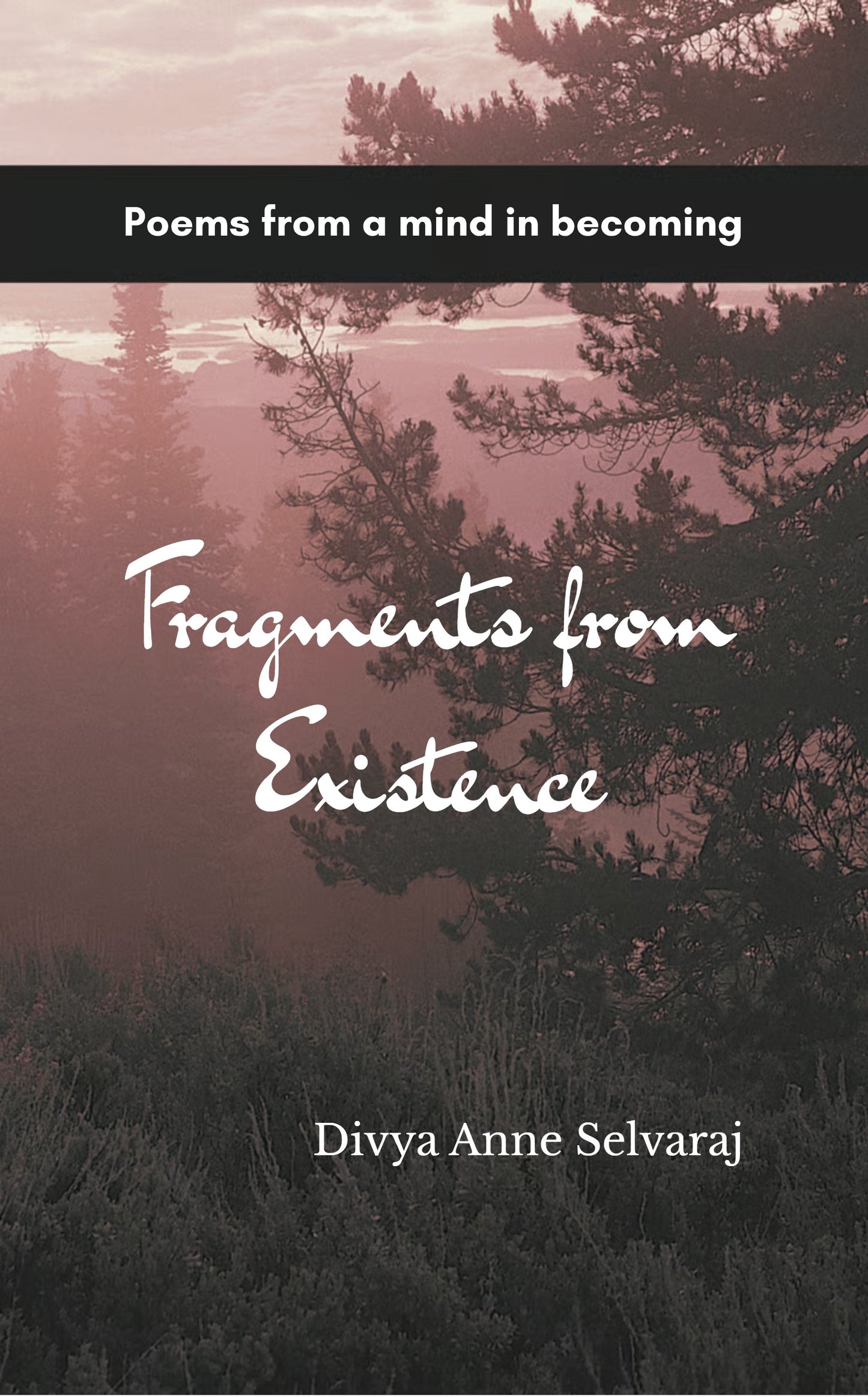 Fragments from Existence