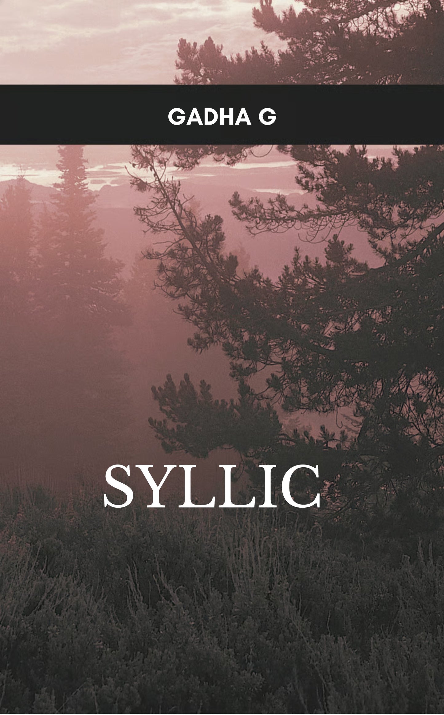 Syllic