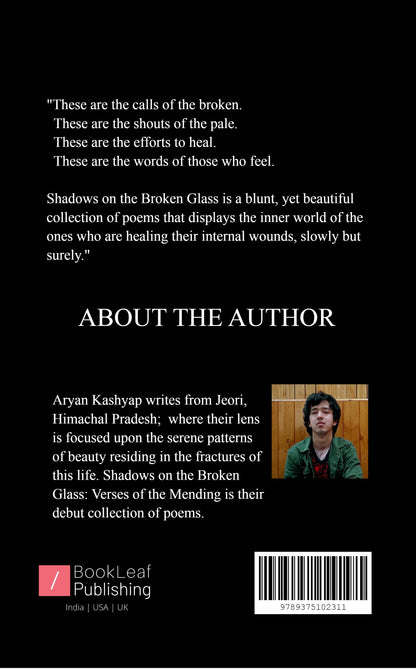 Shadows on the Broken Glass