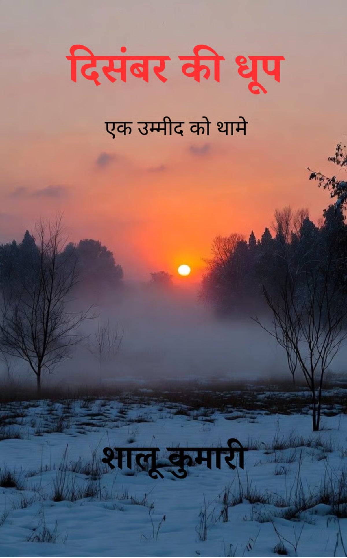 दिसंबर की धूप