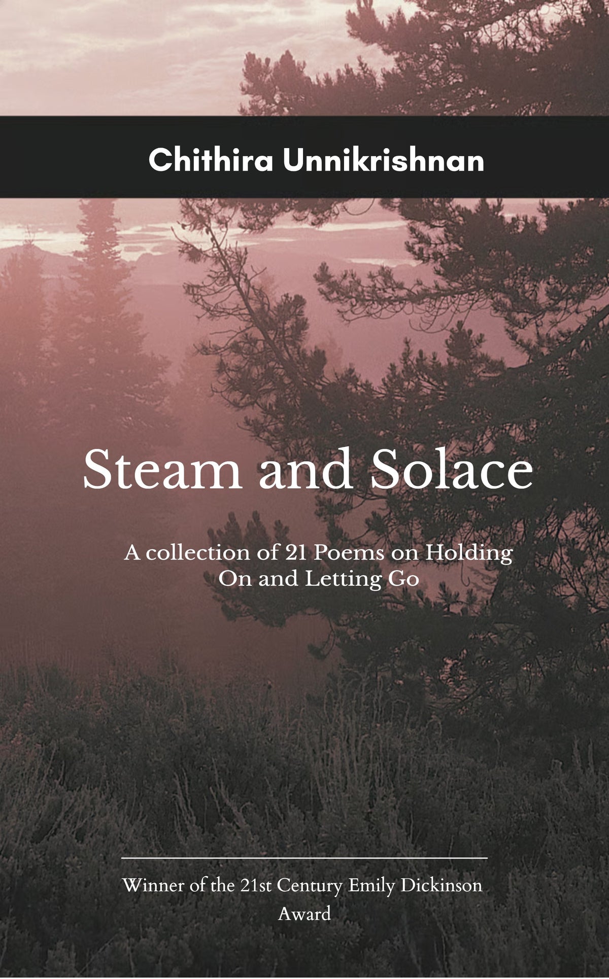 Steam and Solace