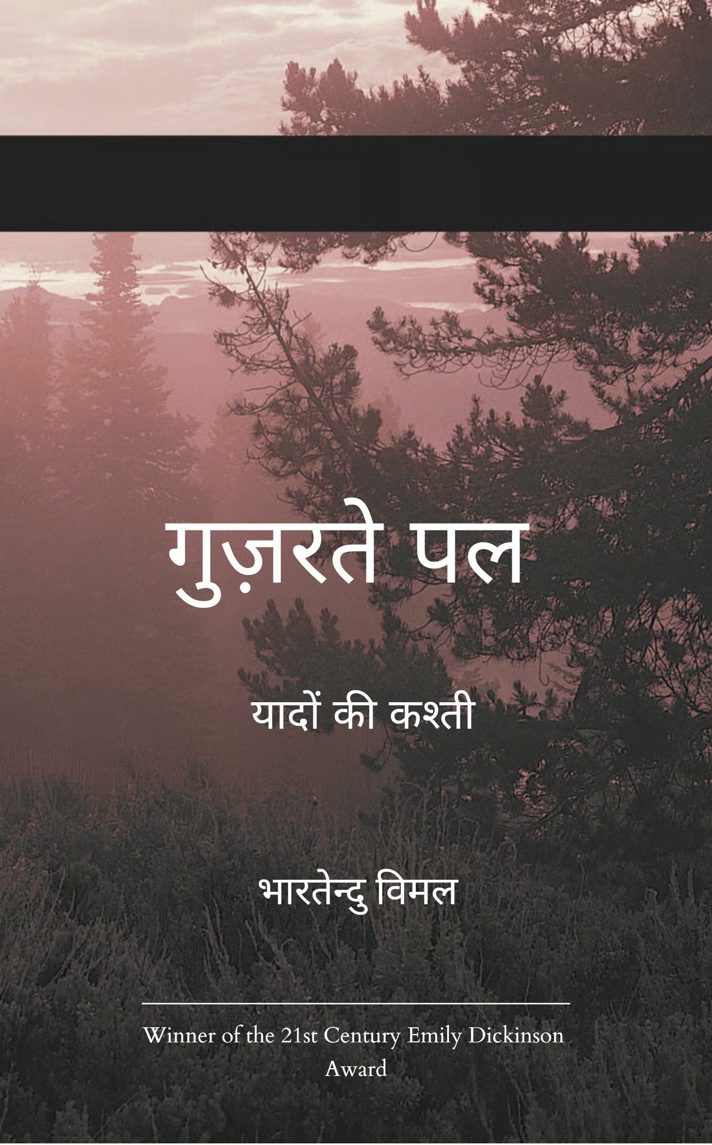 गुज़रते पल