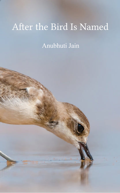After the Bird Is Named